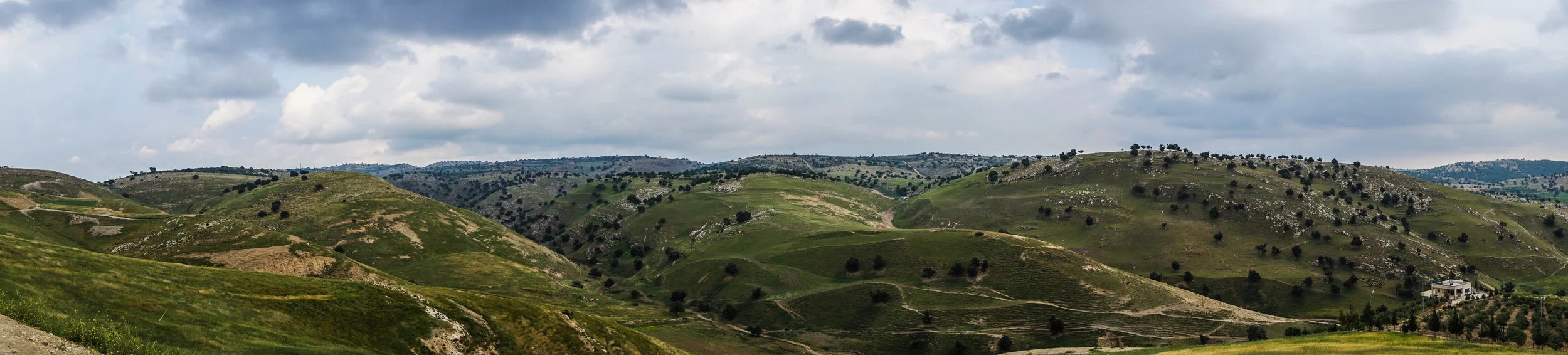 Jordan-07925.jpg