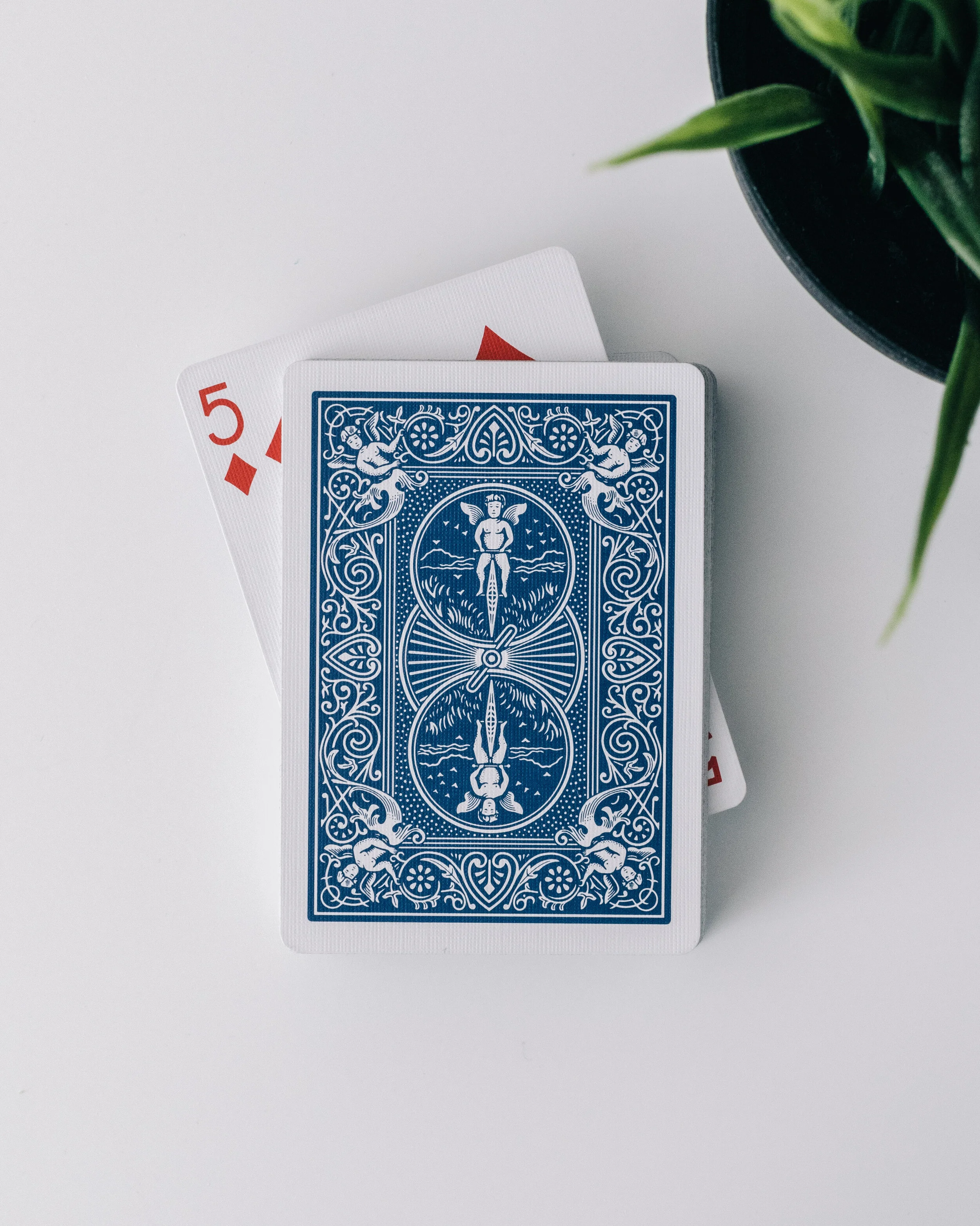 gathering — BLOG — The Perennial Homestead