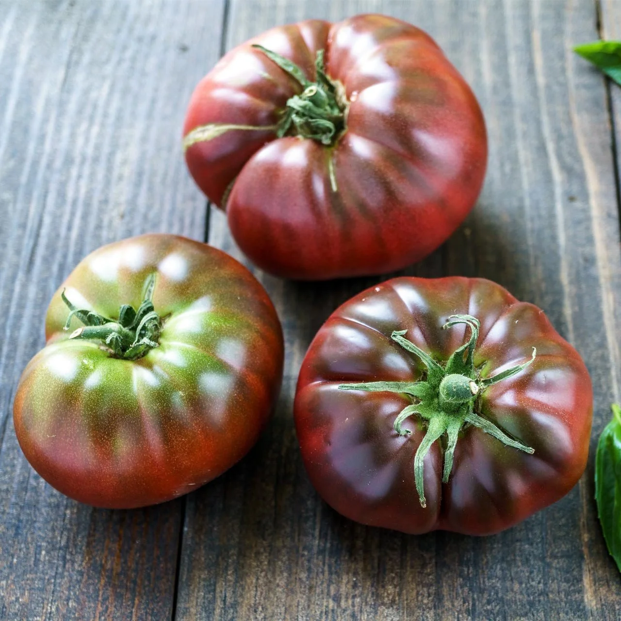 Tomato Plants — The Perennial Homestead