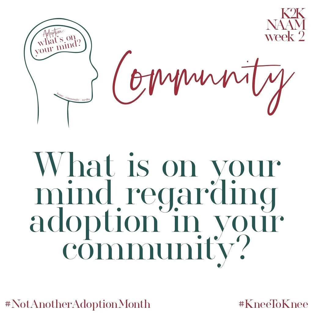 Week Two: What is on your mind regarding adoption in your community? 
.
.
Tell us about yourself, how adoption is going in your community, your thoughts and feelings about the daily run-ins, your religious centers, extended family and even online.  W