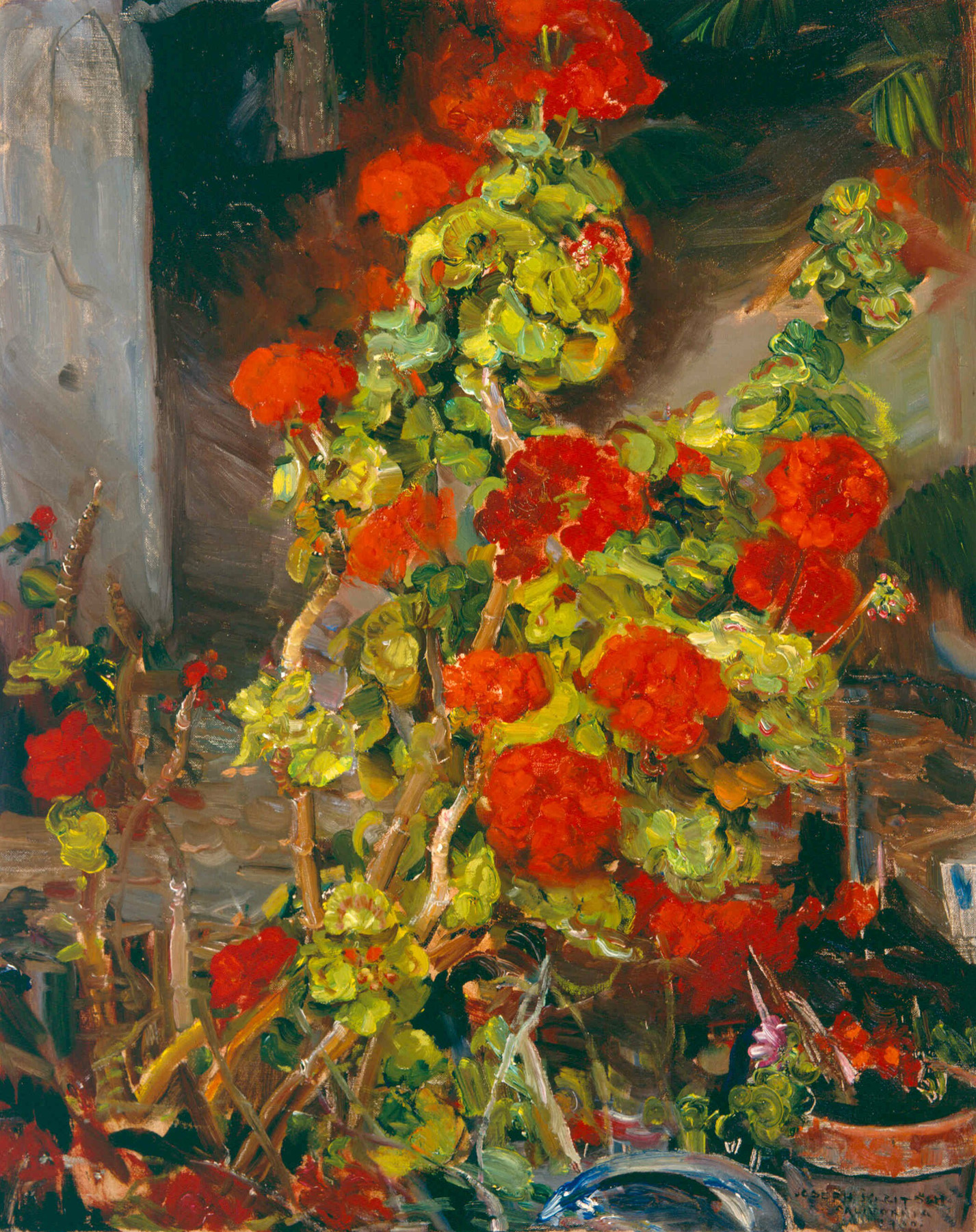    Geraniums   / Oil on Canvas, 30 x 24 in. / Private Collection 