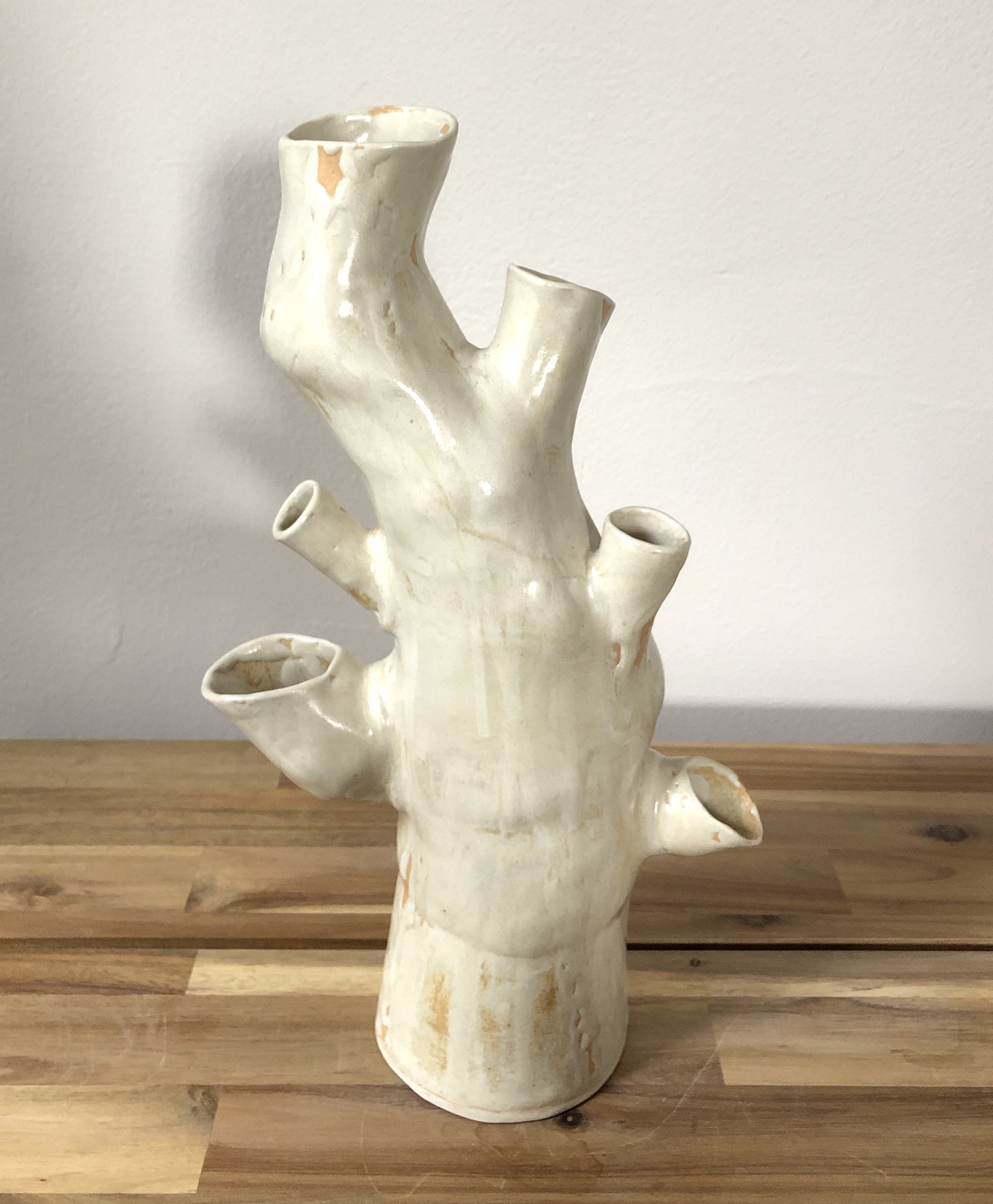 branch vessel