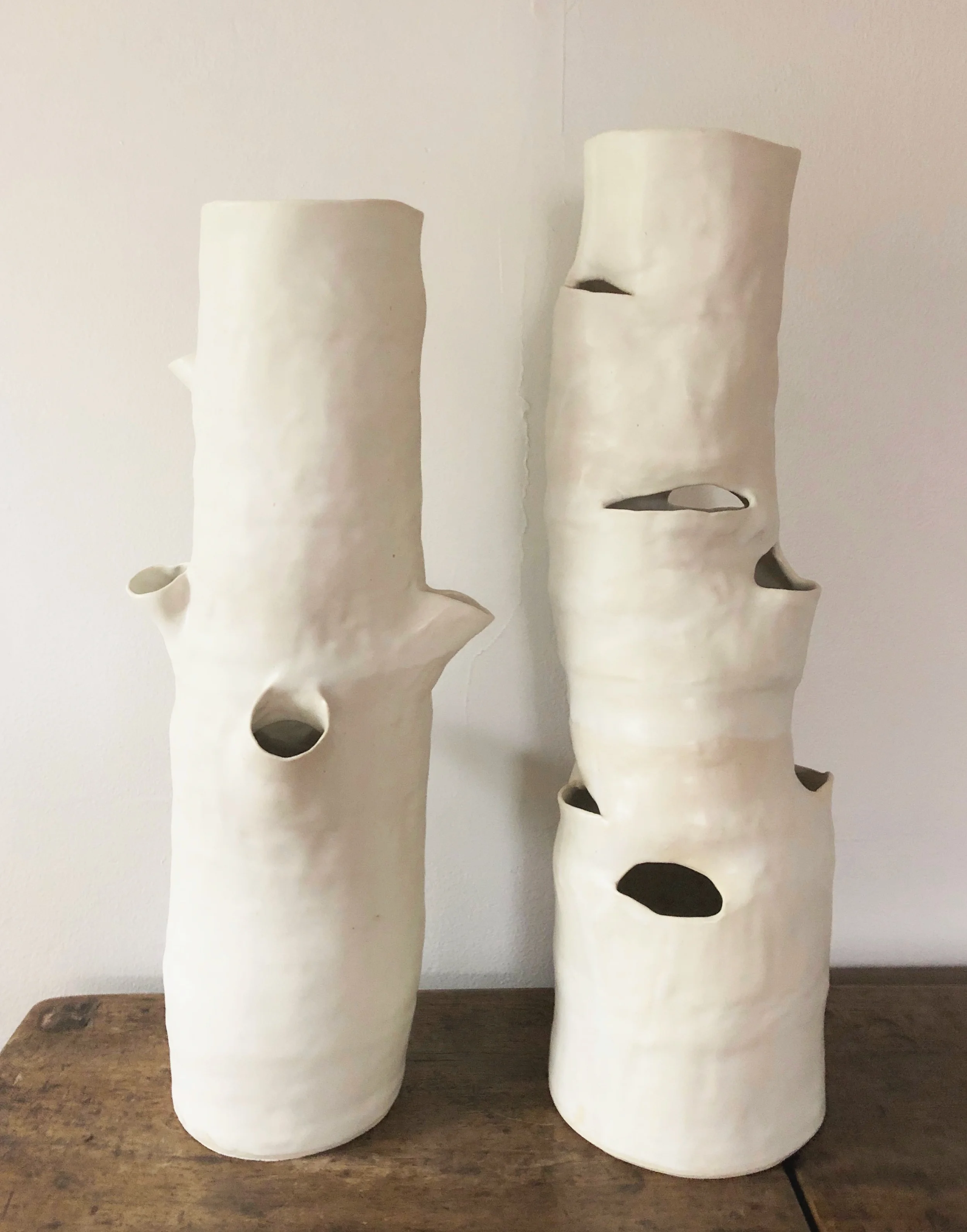 birch vessels