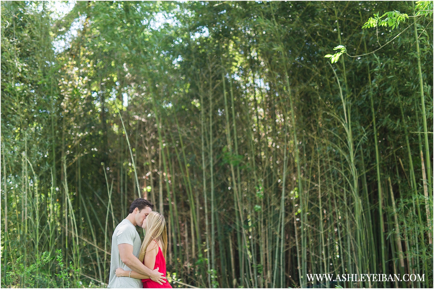 Sweet Briar Engagement || Lynchburg Wedding and Engagement Photographer || Ashley Eiban Photography || www.ashleyeiban.com