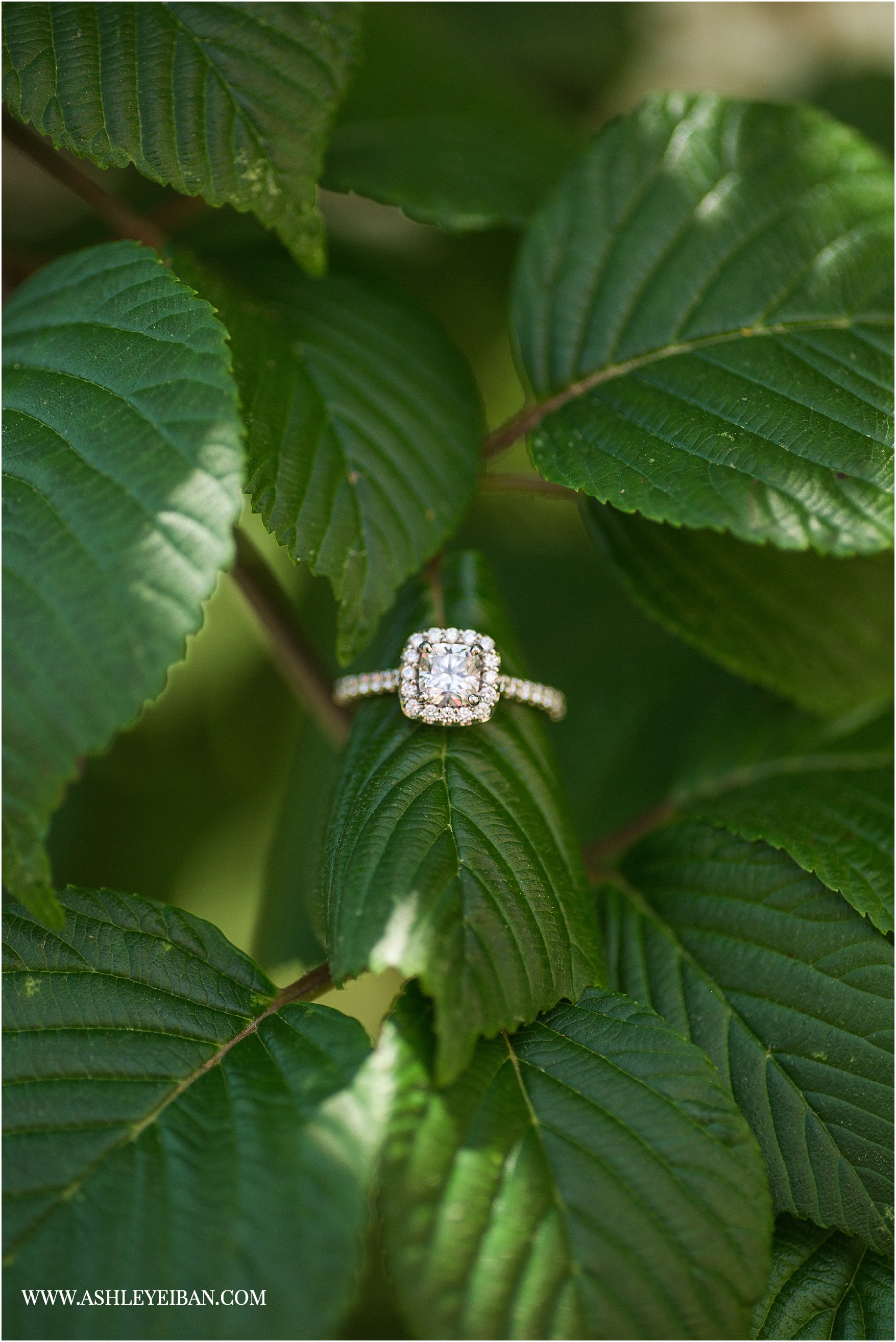 Sweet Briar Engagement || Lynchburg Wedding and Engagement Photographer || Ashley Eiban Photography || www.ashleyeiban.com