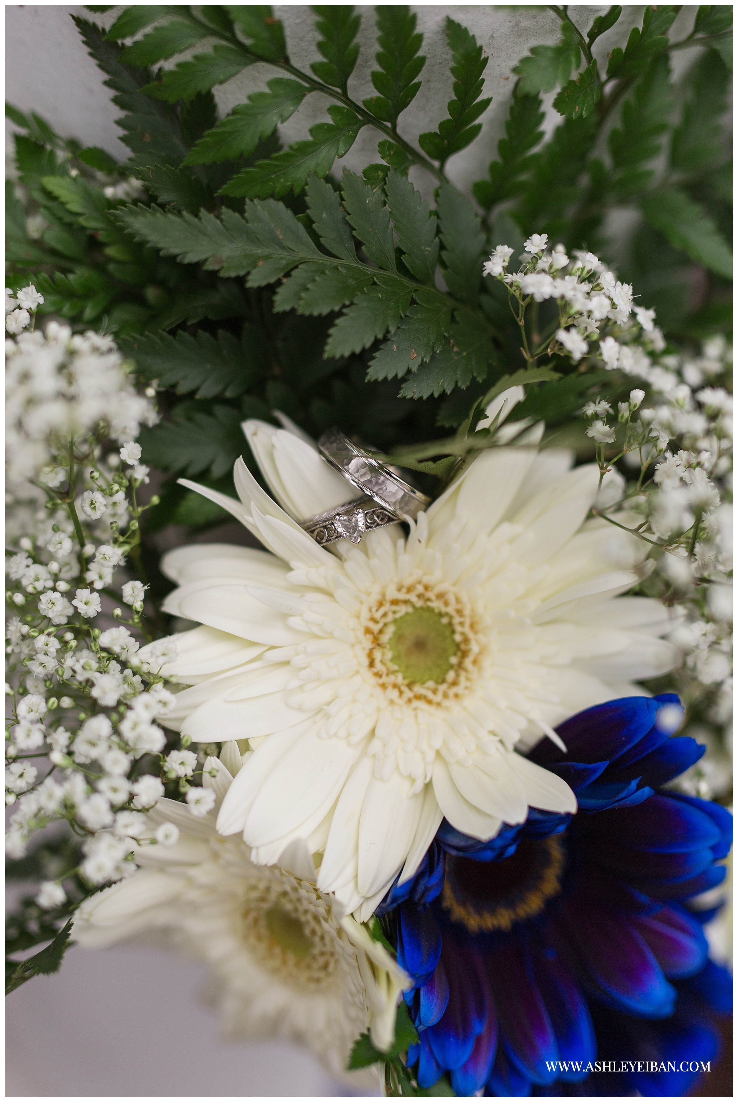 Lynchburg Wedding Photographer || Backyard Wedding || Ashley Eiban Photography || www.ashleyeiban.com