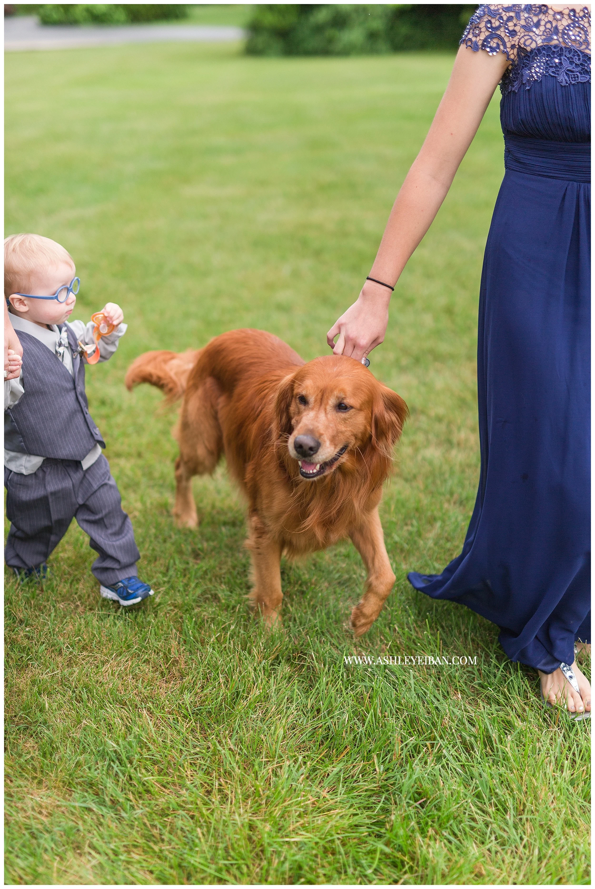Lynchburg Wedding Photographer || Backyard Virginia Wedding || Ashley Eiban Photography || www.ashleyeiban.com