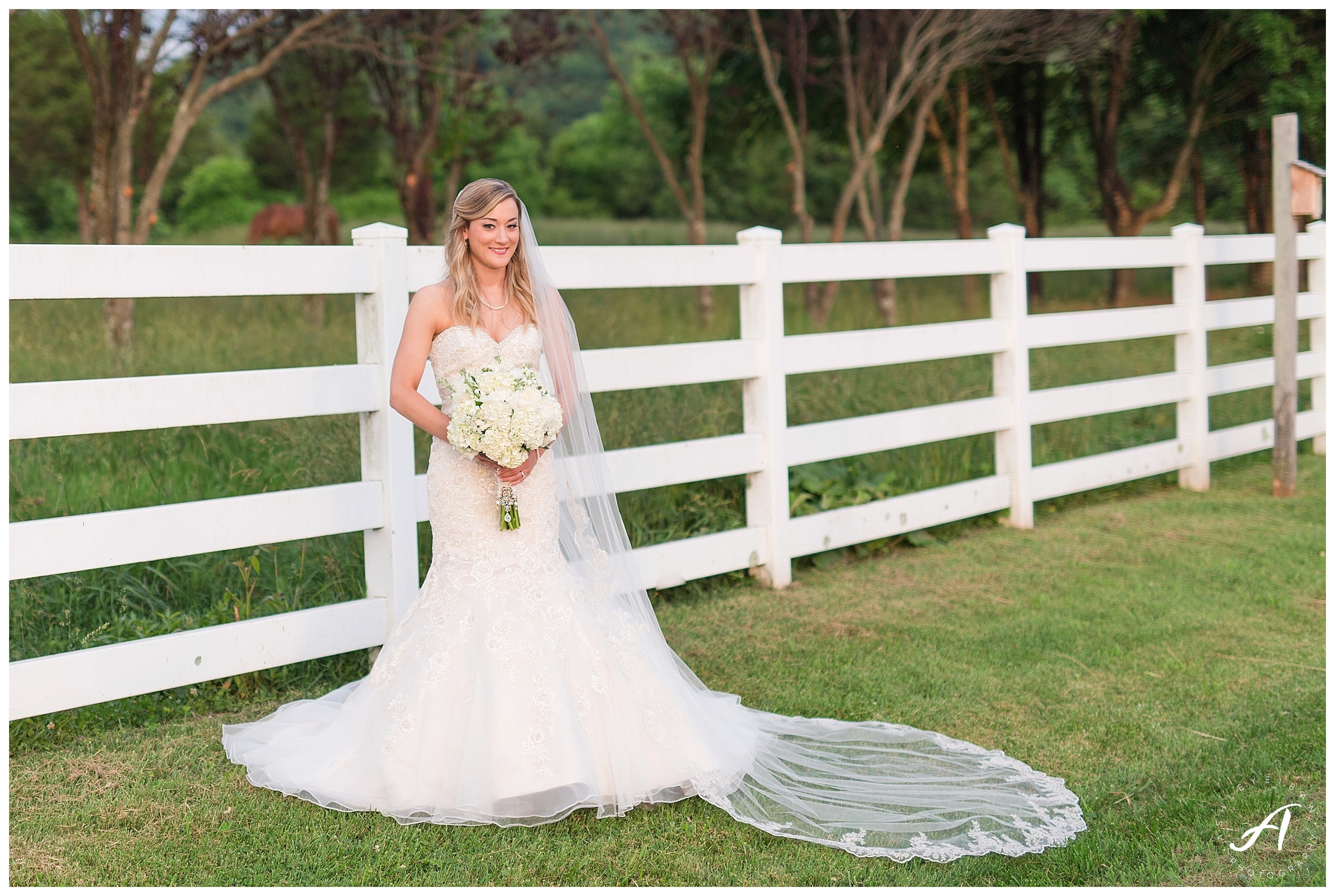 Bedford, Virginia Bridal Portraits || Mountain View Bridal Portraits || Ashley Eiban Photography || www.ashleyeiban.com