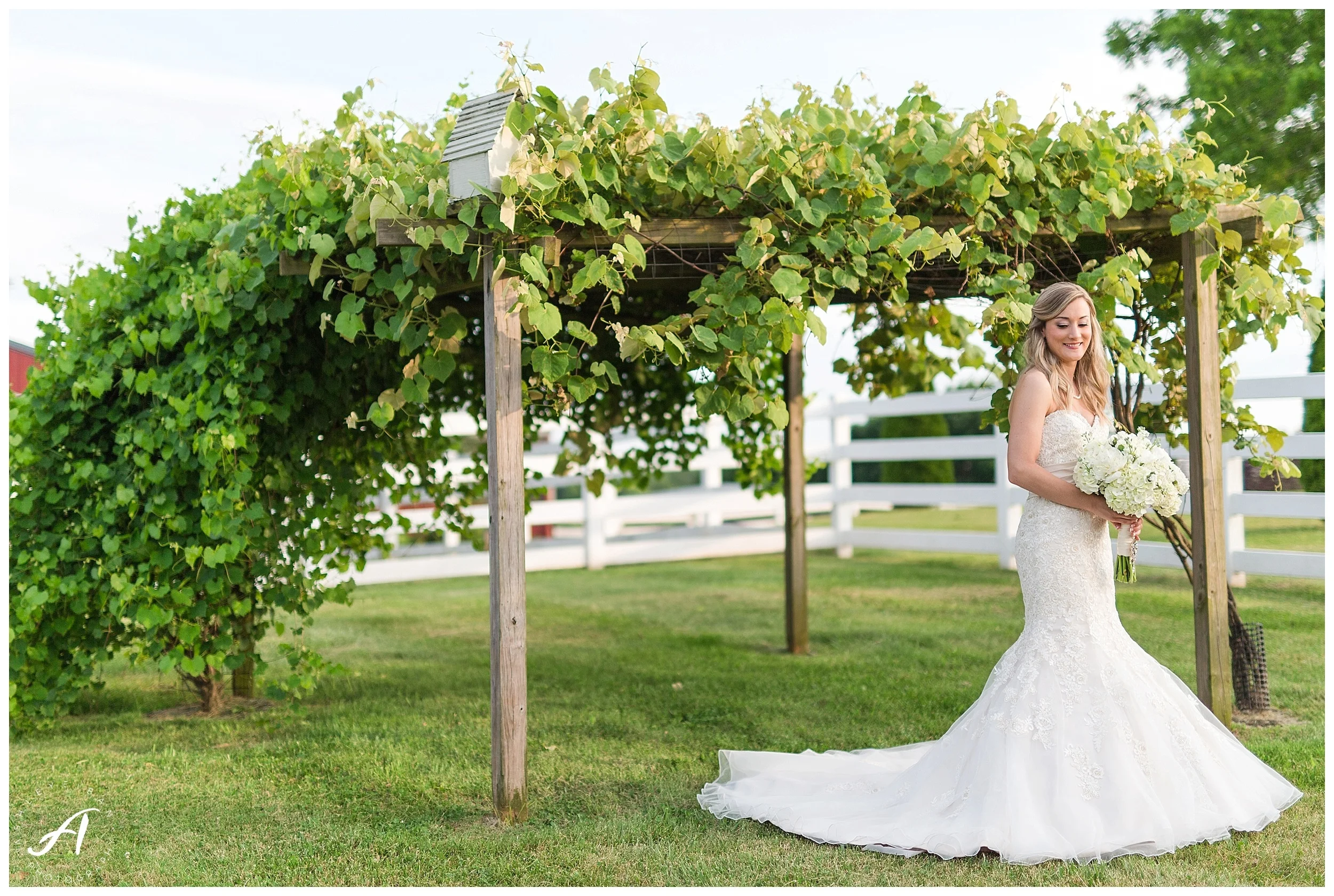 Bedford, Virginia Bridal Portraits || Mountain View Bridal Portraits || Ashley Eiban Photography || www.ashleyeiban.com