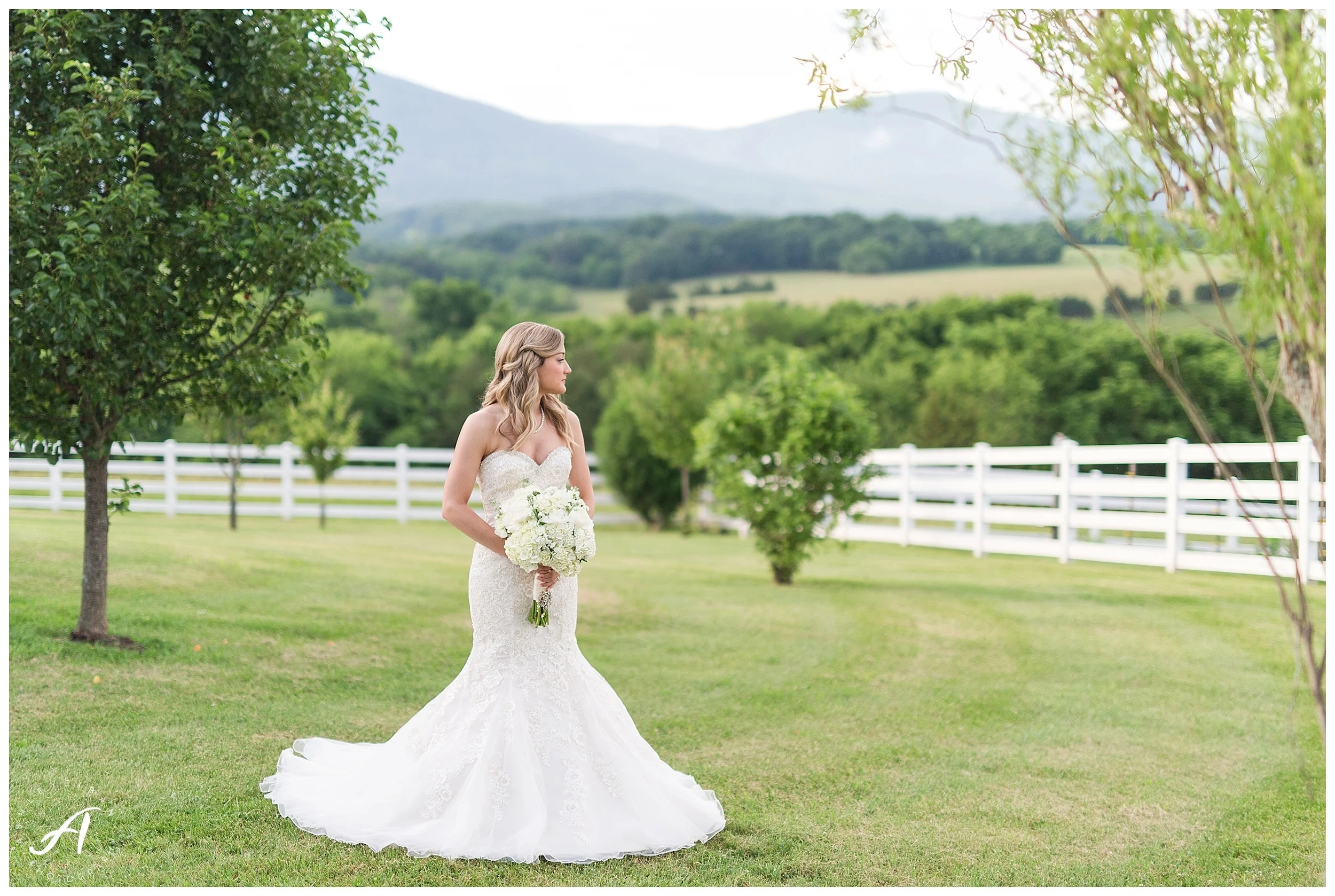 Bedford, Virginia Bridal Portraits || Mountain View Bridal Portraits || Ashley Eiban Photography || www.ashleyeiban.com