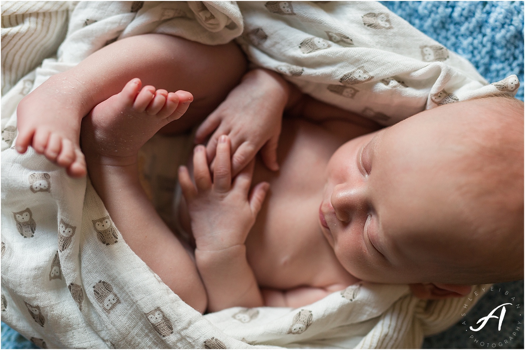 Albuquerque, New Mexico Family and Lifestyle Photographer || Breighton's Newborn Session || Ashley Eiban Photography || www.ashleyeiban.com