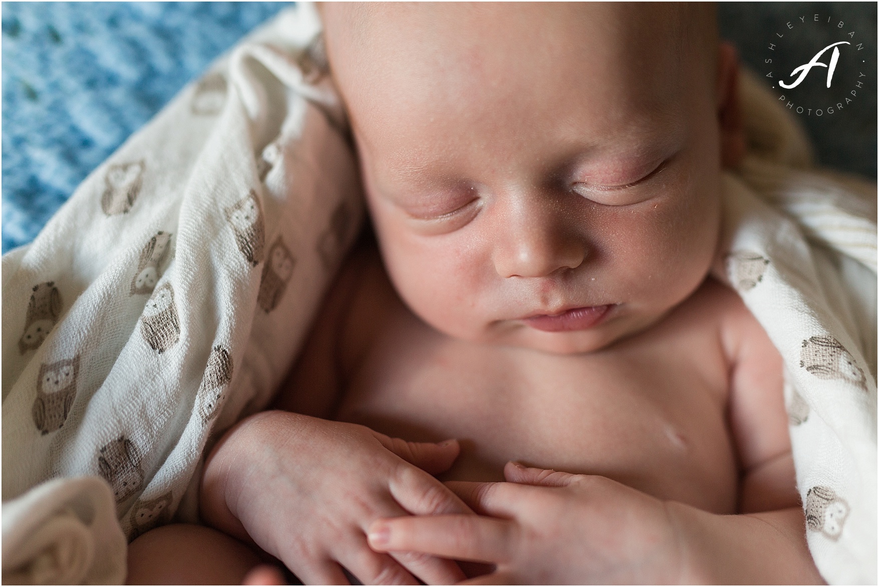 Albuquerque, New Mexico Family and Lifestyle Photographer || Breighton's Newborn Session || Ashley Eiban Photography || www.ashleyeiban.com