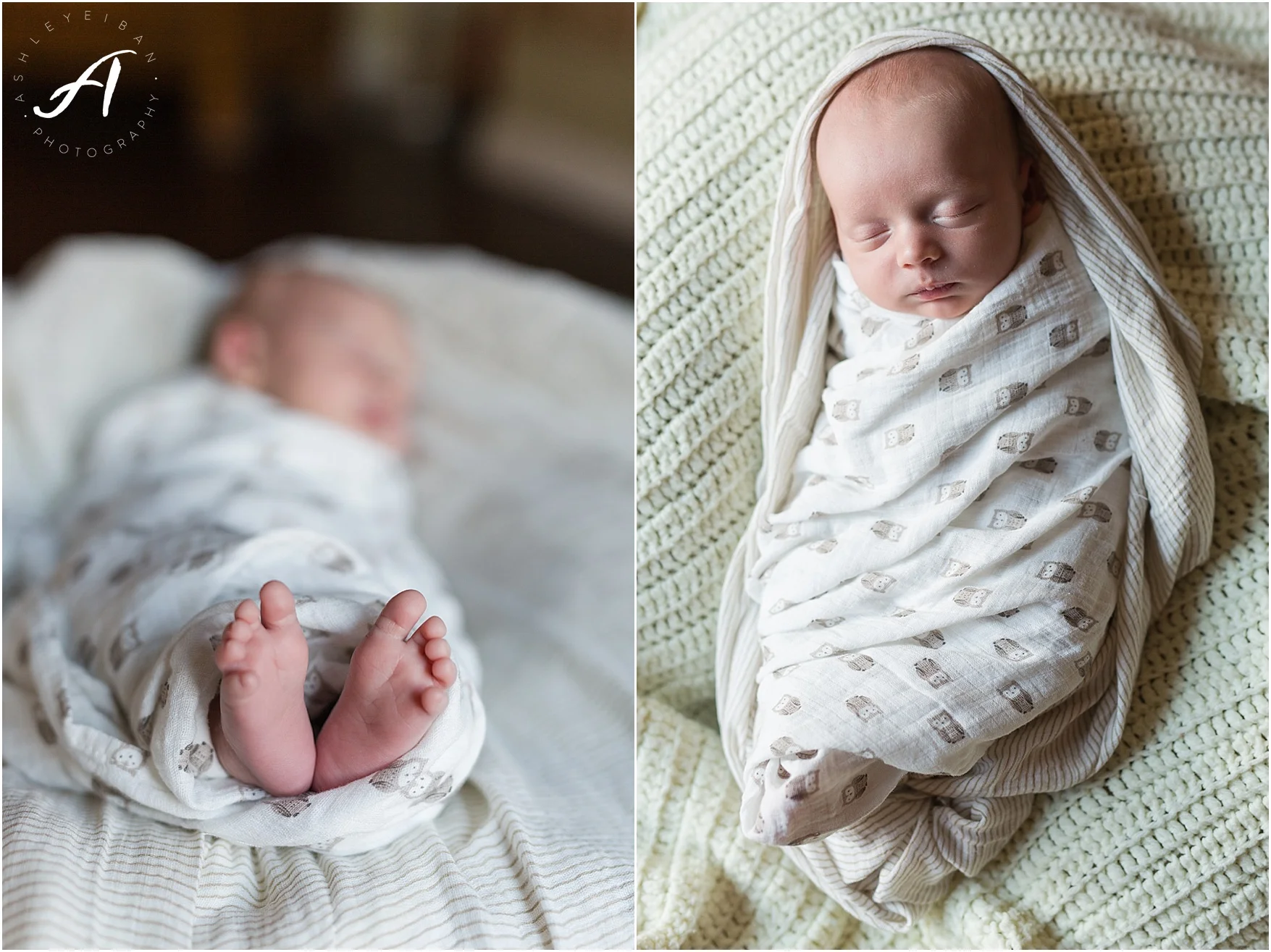 Albuquerque, New Mexico Family and Lifestyle Photographer || Breighton's Newborn Session || Ashley Eiban Photography || www.ashleyeiban.com
