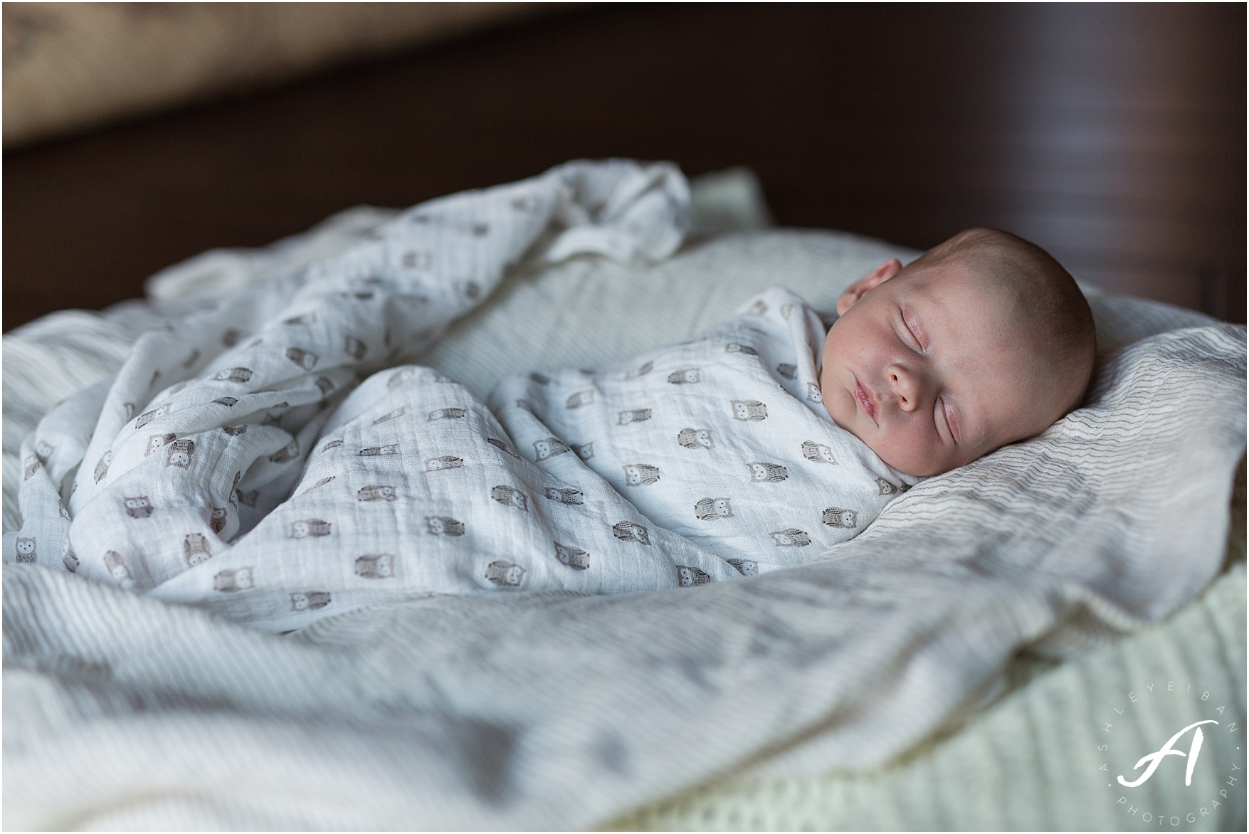 Albuquerque, New Mexico Family and Lifestyle Photographer || Breighton's Newborn Session || Ashley Eiban Photography || www.ashleyeiban.com