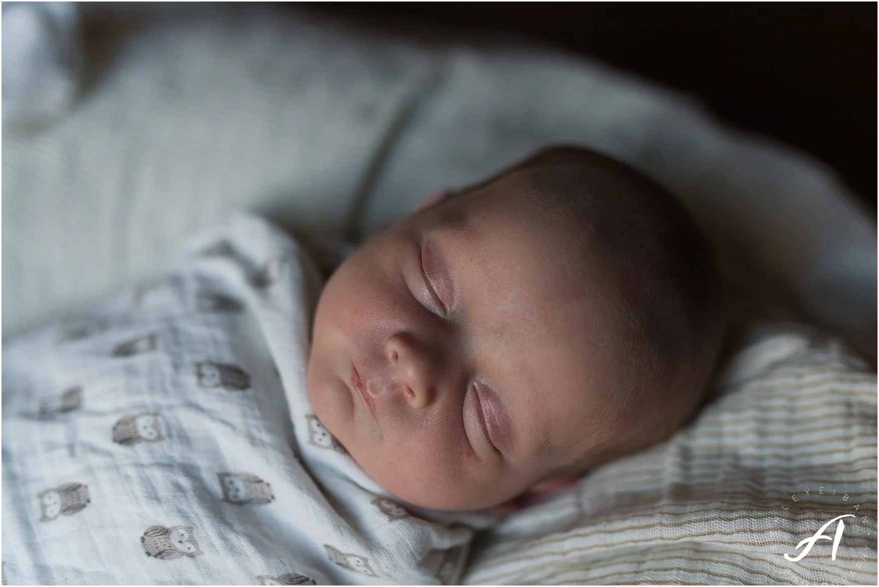 Albuquerque, New Mexico Family and Lifestyle Photographer || Breighton's Newborn Session || Ashley Eiban Photography || www.ashleyeiban.com