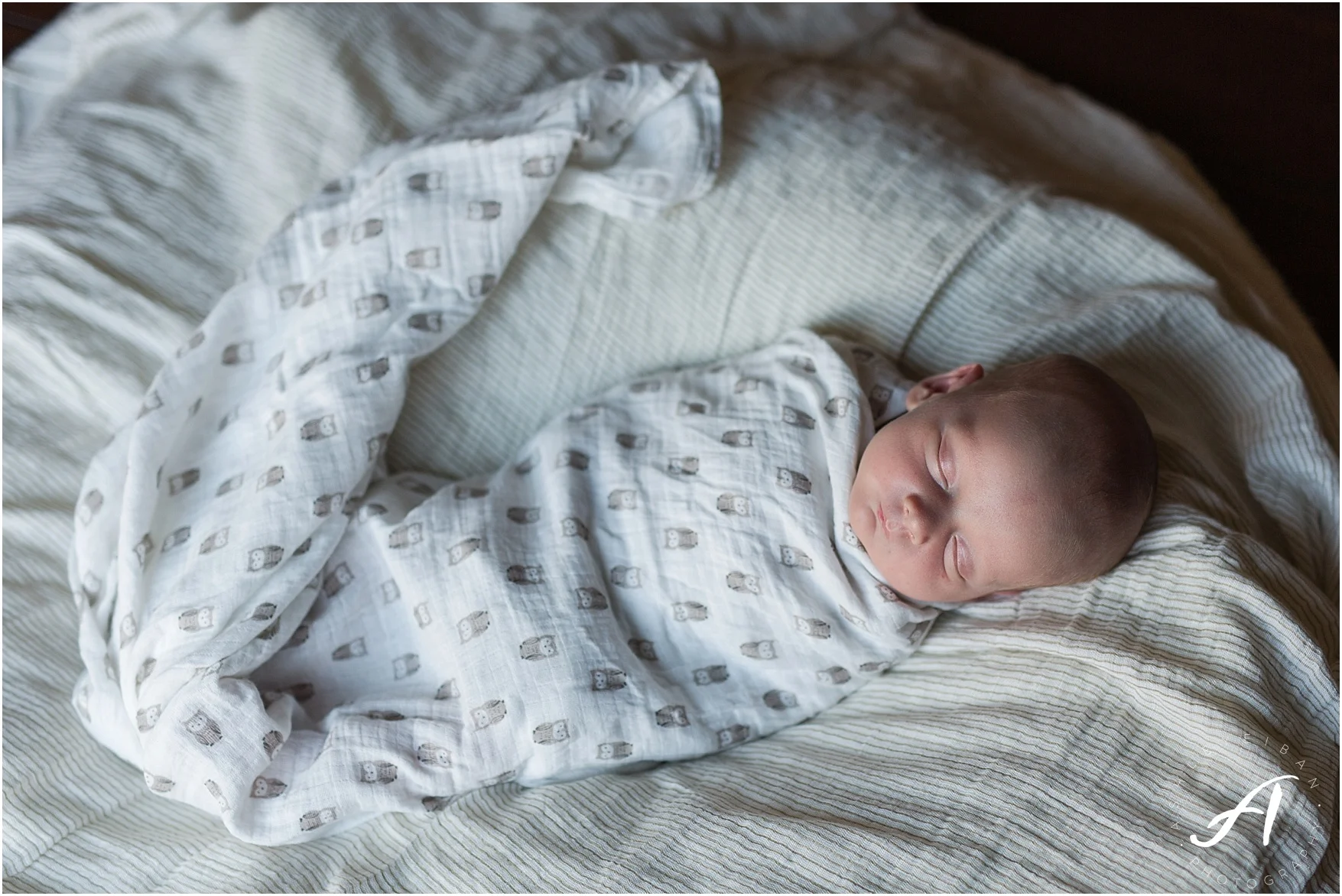Albuquerque, New Mexico Family and Lifestyle Photographer || Breighton's Newborn Session || Ashley Eiban Photography || www.ashleyeiban.com