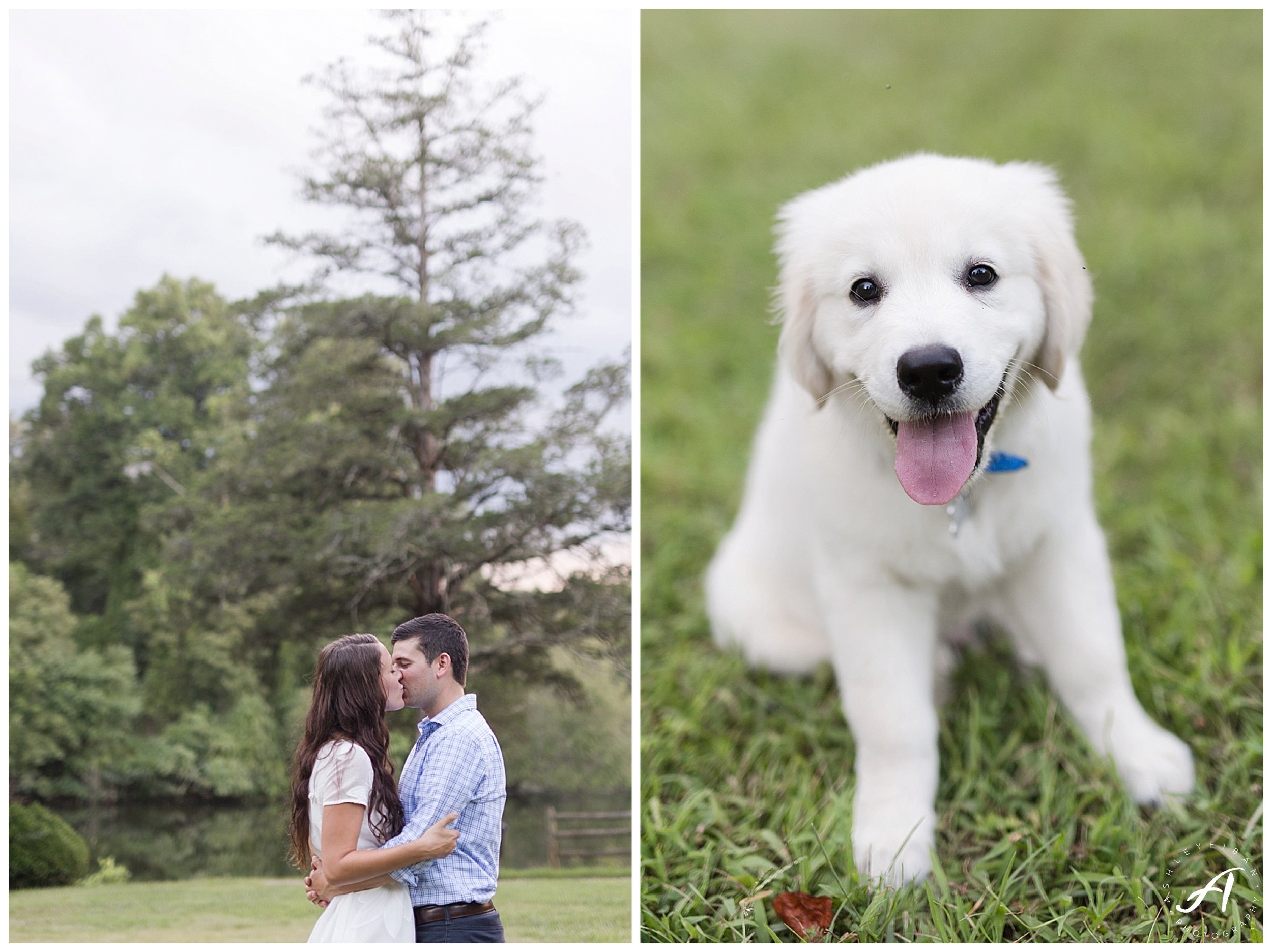 Sweet Briar College Summer Engagement Session || Lynchburg, Virginia Wedding Photographer || Ashley Eiban Photography || www.ashleyeiban.com