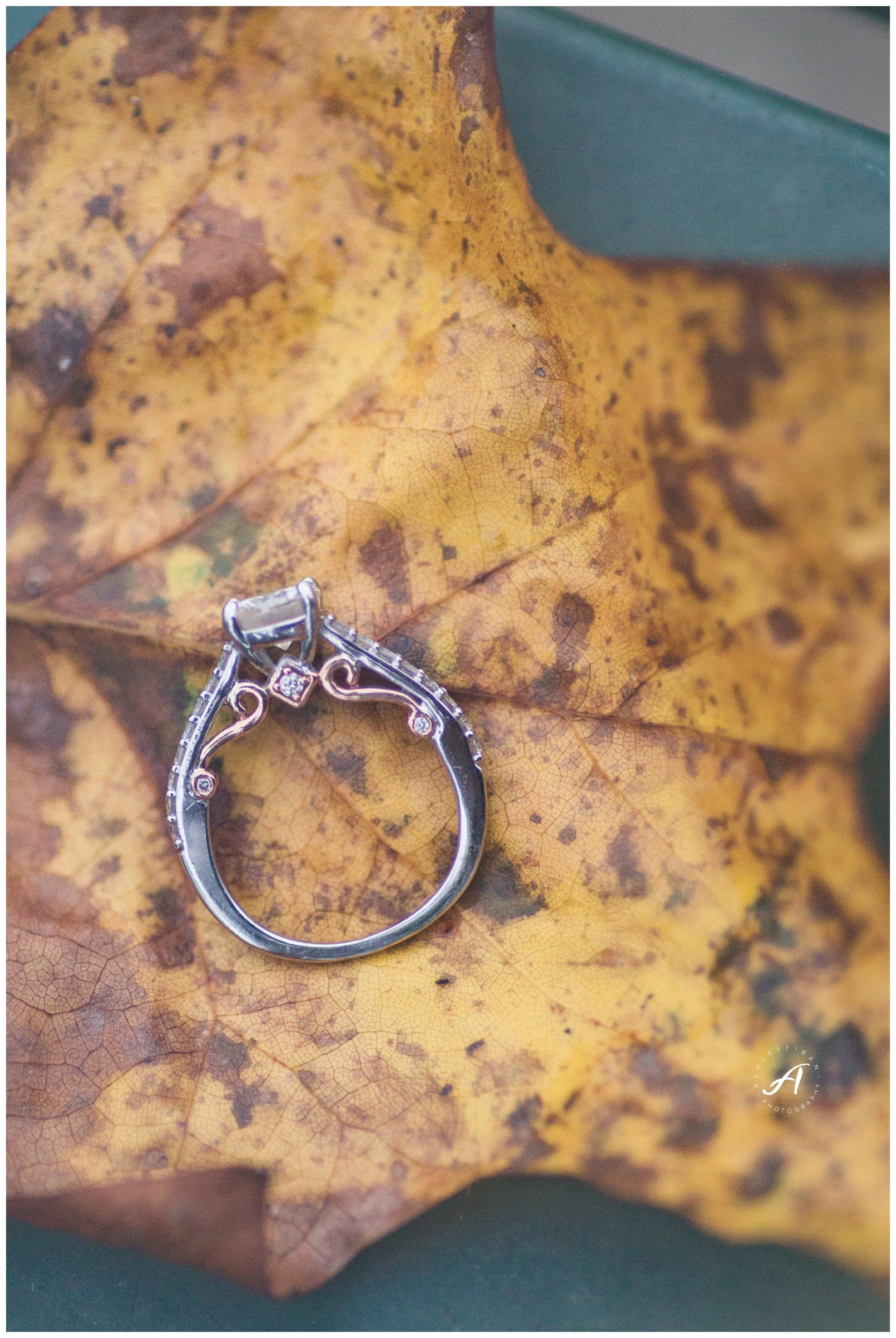 Charlottesville and Lynchburg Fall Engagement Session || Ashley Eiban Photography || www.ashleyeiban.com