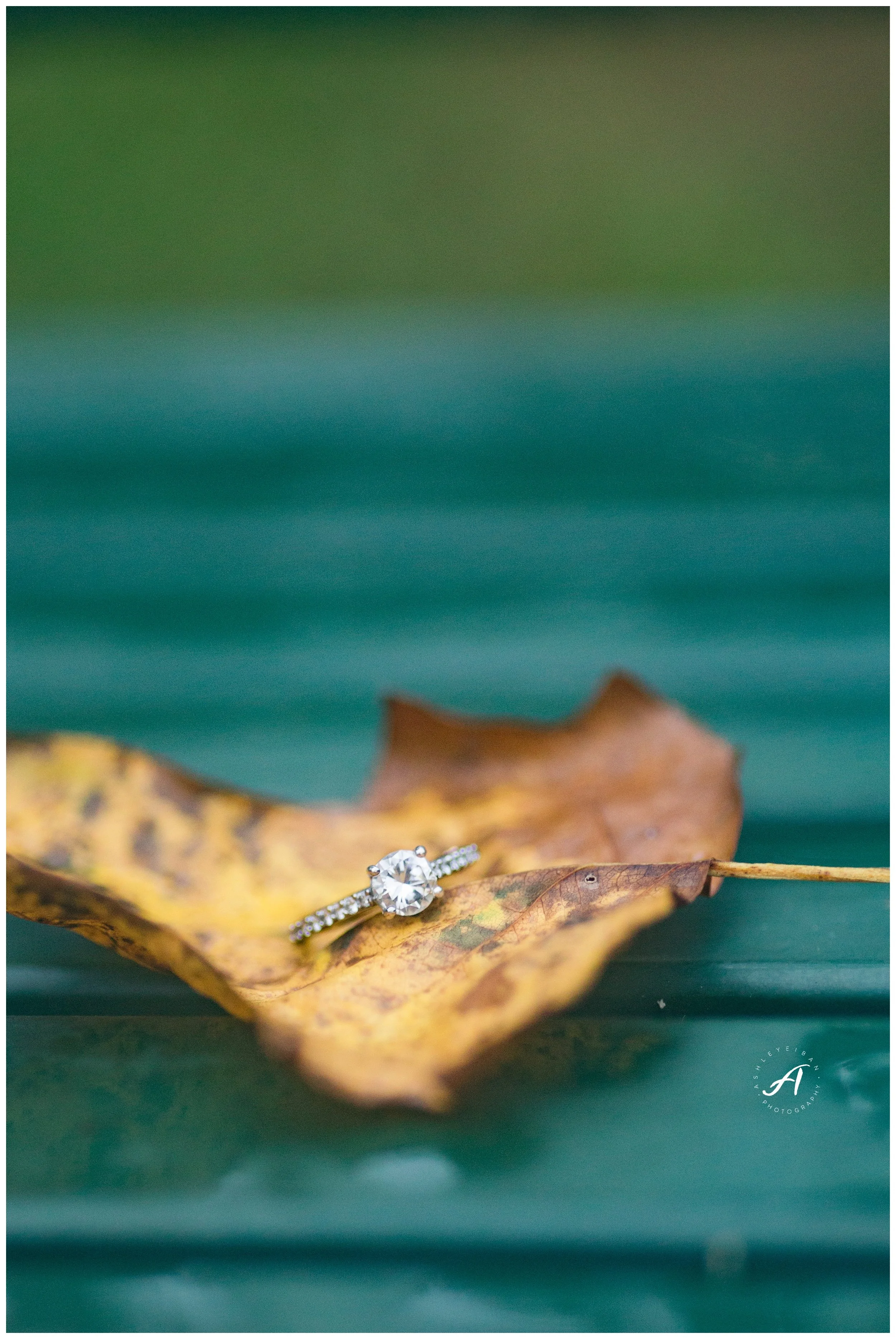 Charlottesville and Lynchburg Fall Engagement Session || Ashley Eiban Photography || www.ashleyeiban.com