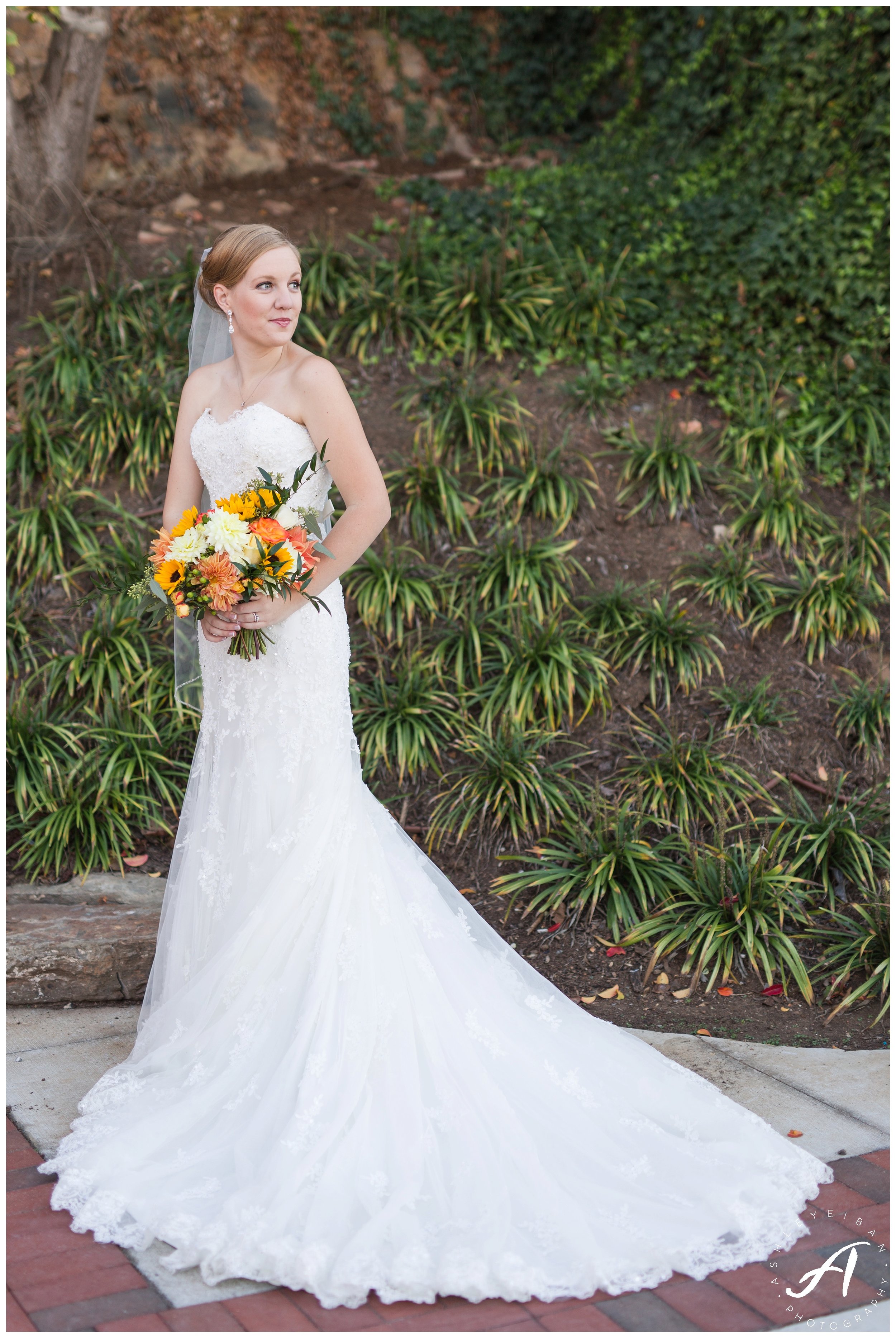 Craddock Terry Wedding in Downtown Lynchburg, Virginia || Central VA Wedding Photographer || Fall Wedding in the Blue Ridge Mountains