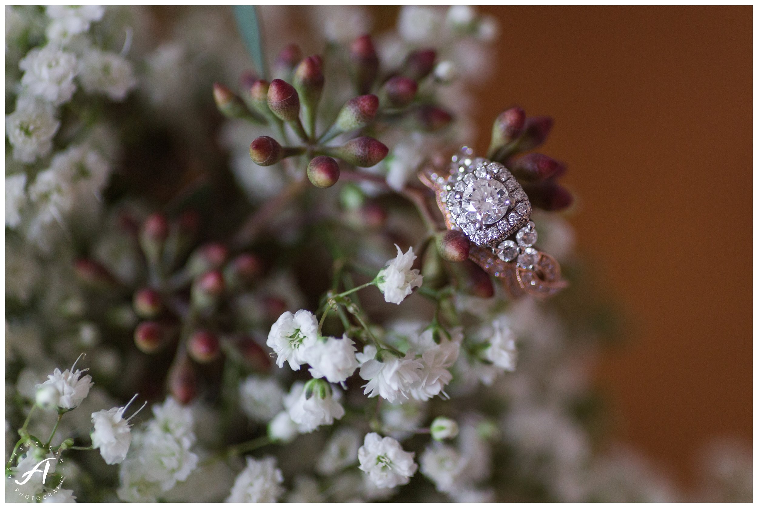 Central Virginia Wedding at The Trivium Estate || Forest and Lynchburg Wedding Photographer || Ashley Eiban Photography || www.ashleyeiban.com