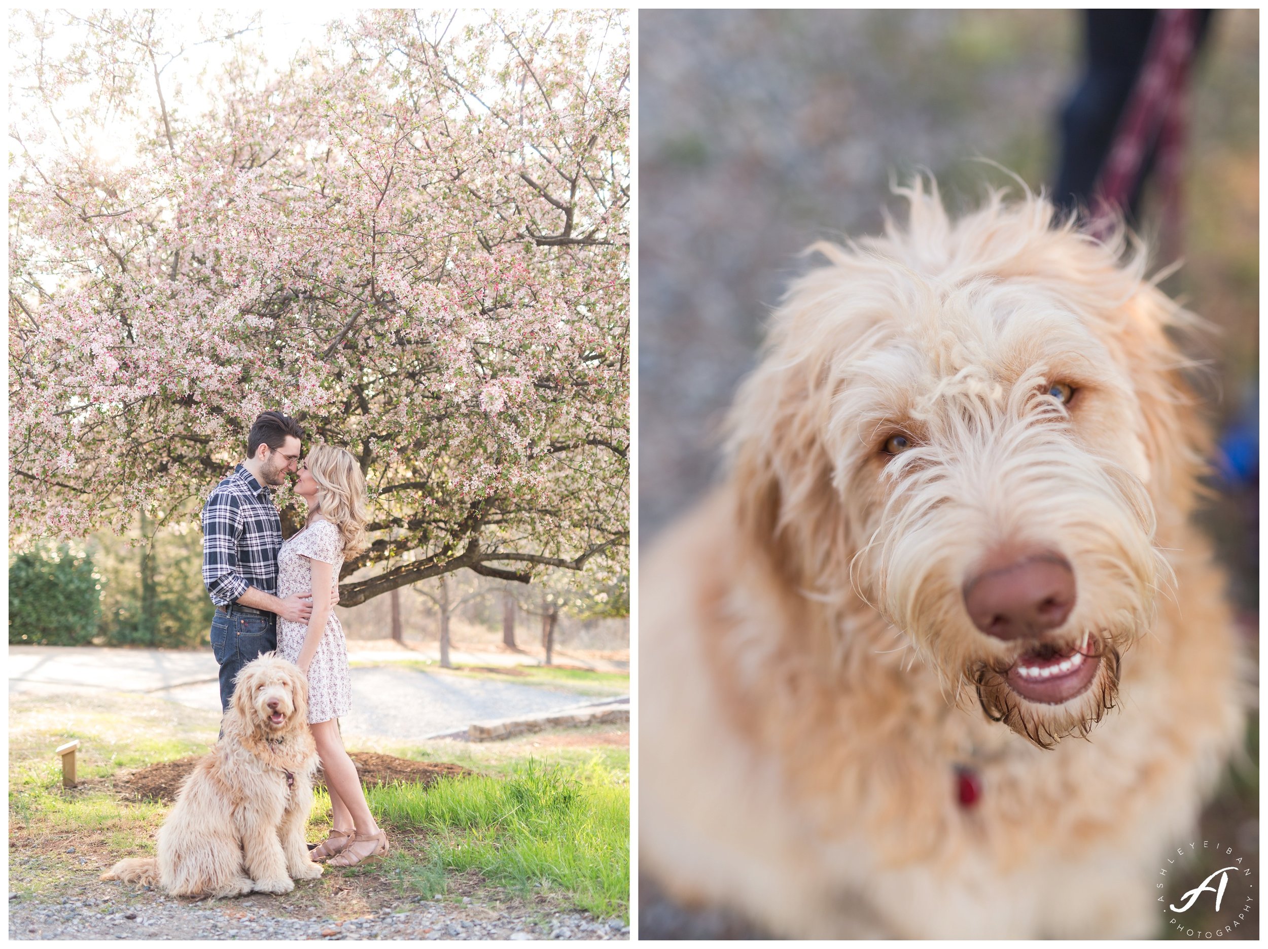 Charlottesville and Lynchburg wedding photographer || downtown lynchburg engagement session || Ashley Eiban Photography || www.ashleyeiban.com
