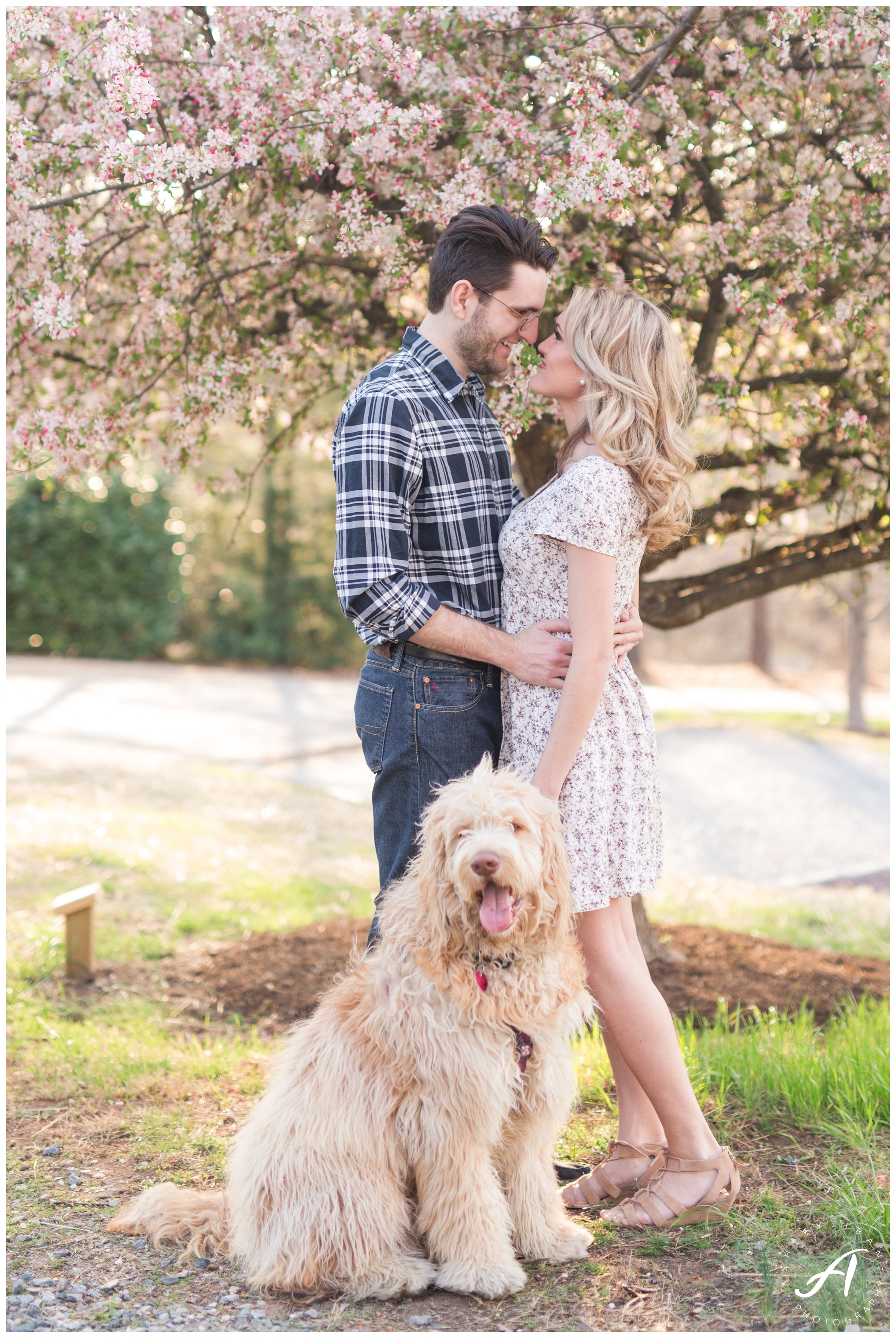 Charlottesville and Lynchburg wedding photographer || downtown lynchburg engagement session || Ashley Eiban Photography || www.ashleyeiban.com