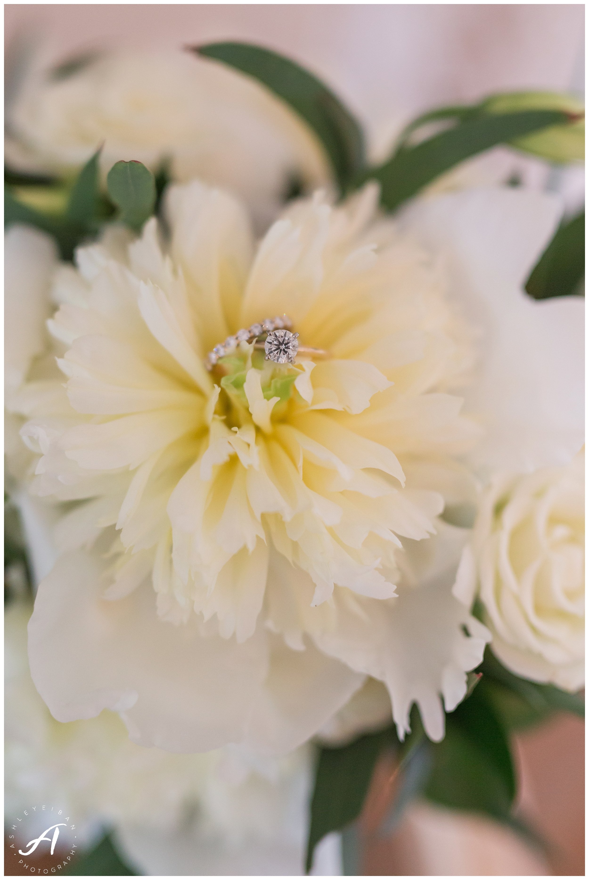 Mountain View Wedding at Sierra Vista in Central Virginia || Ashley Eiban Photography || www.ashleyeiban.com