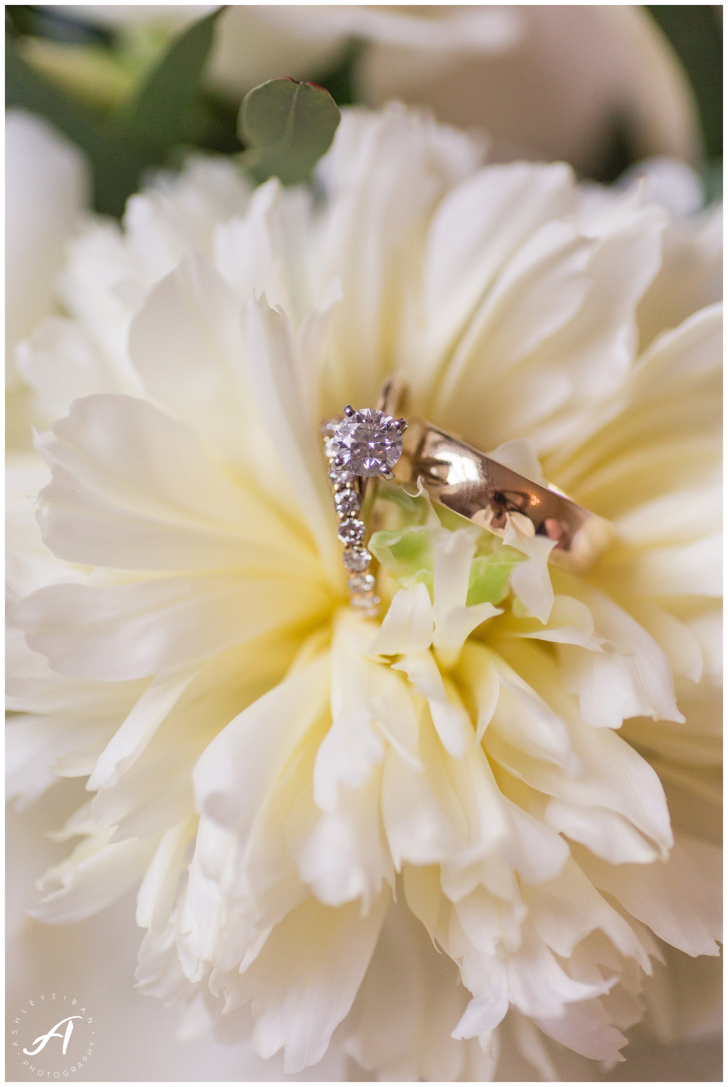 Mountain View Wedding at Sierra Vista in Central Virginia || Ashley Eiban Photography || www.ashleyeiban.com