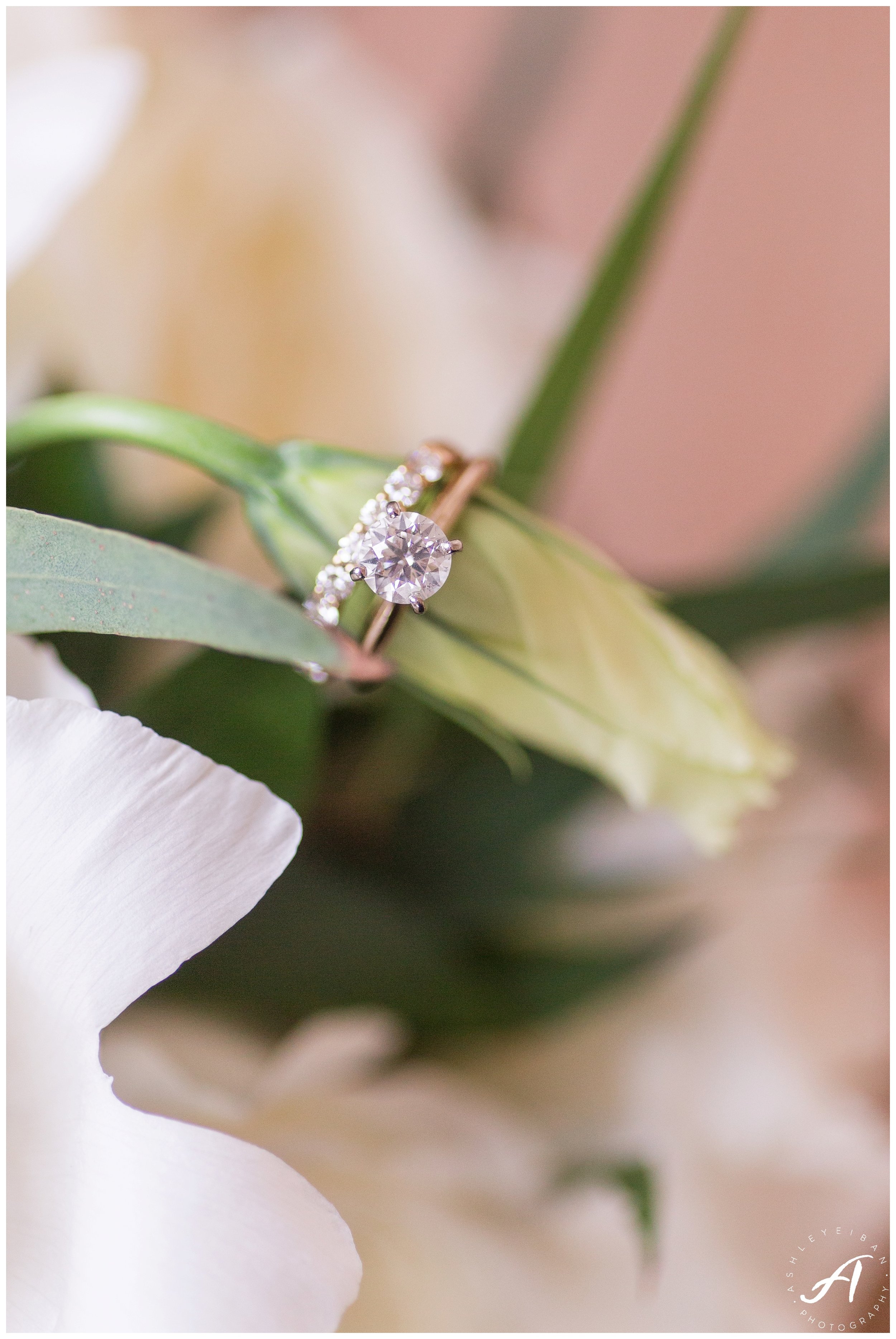 Mountain View Wedding at Sierra Vista in Central Virginia || Ashley Eiban Photography || www.ashleyeiban.com