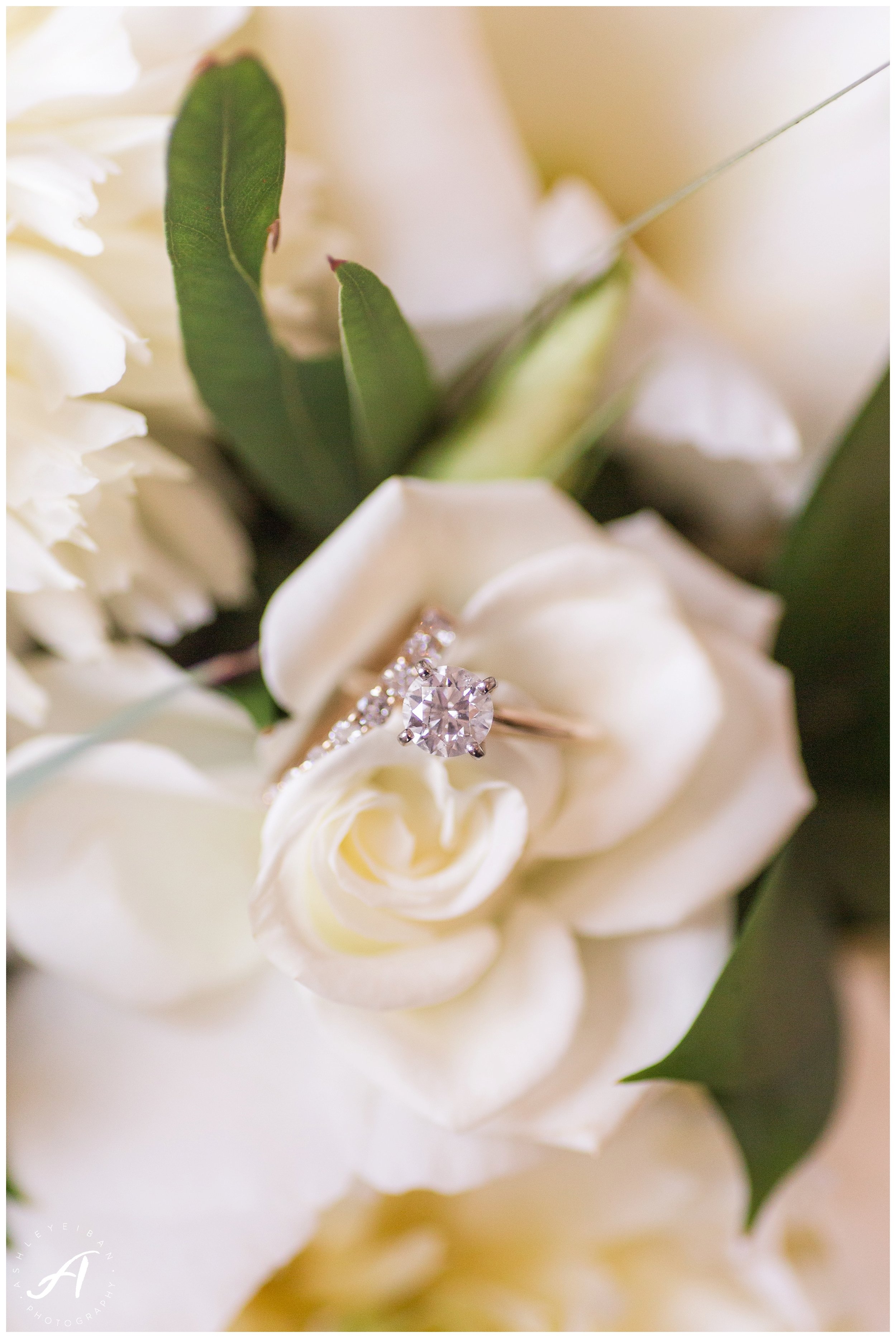 Mountain View Wedding at Sierra Vista in Central Virginia || Ashley Eiban Photography || www.ashleyeiban.com