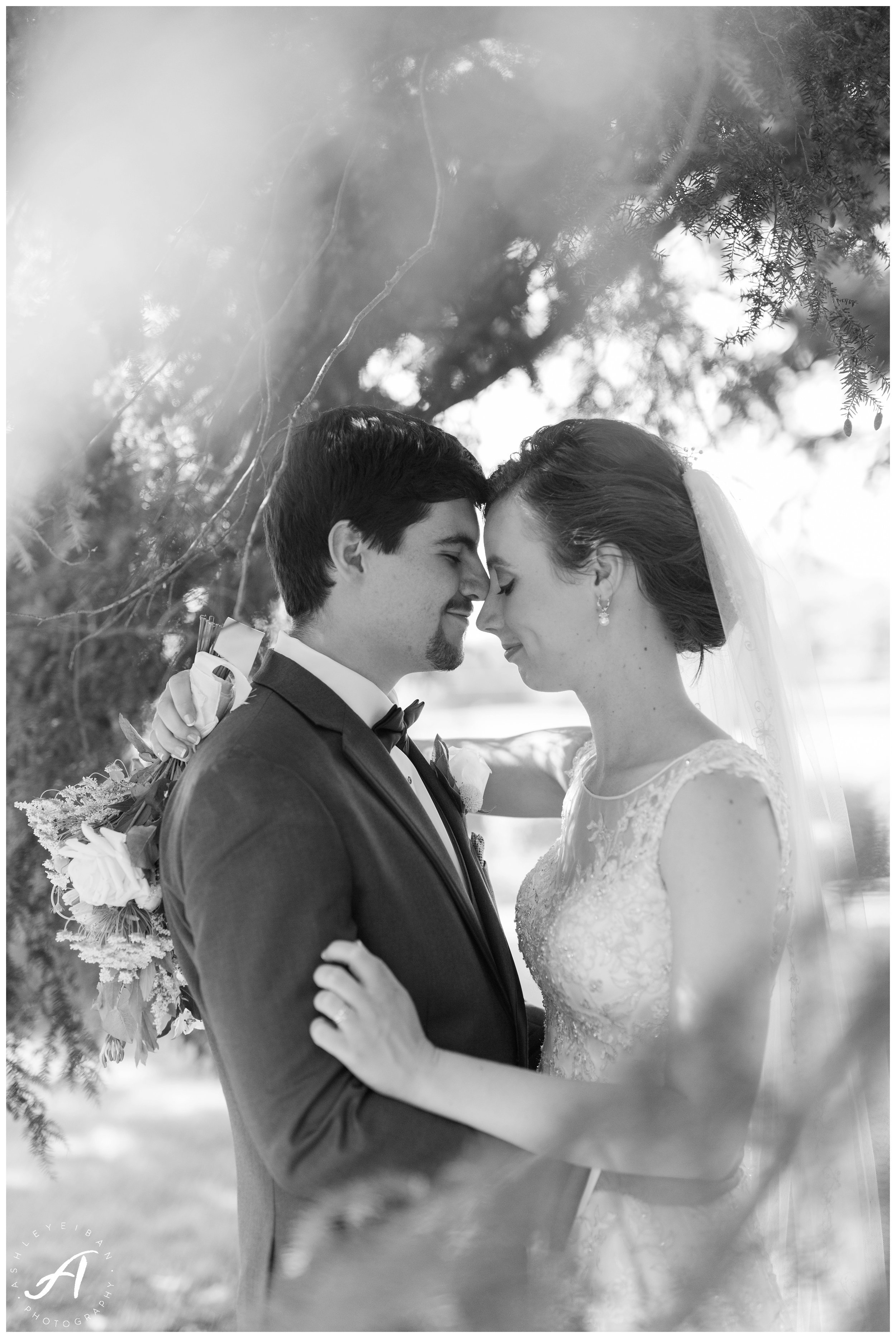 Charlottesville and Lynchburg Wedding Photographer || The Trivium Estate Wedding || www.ashleyeiban.com