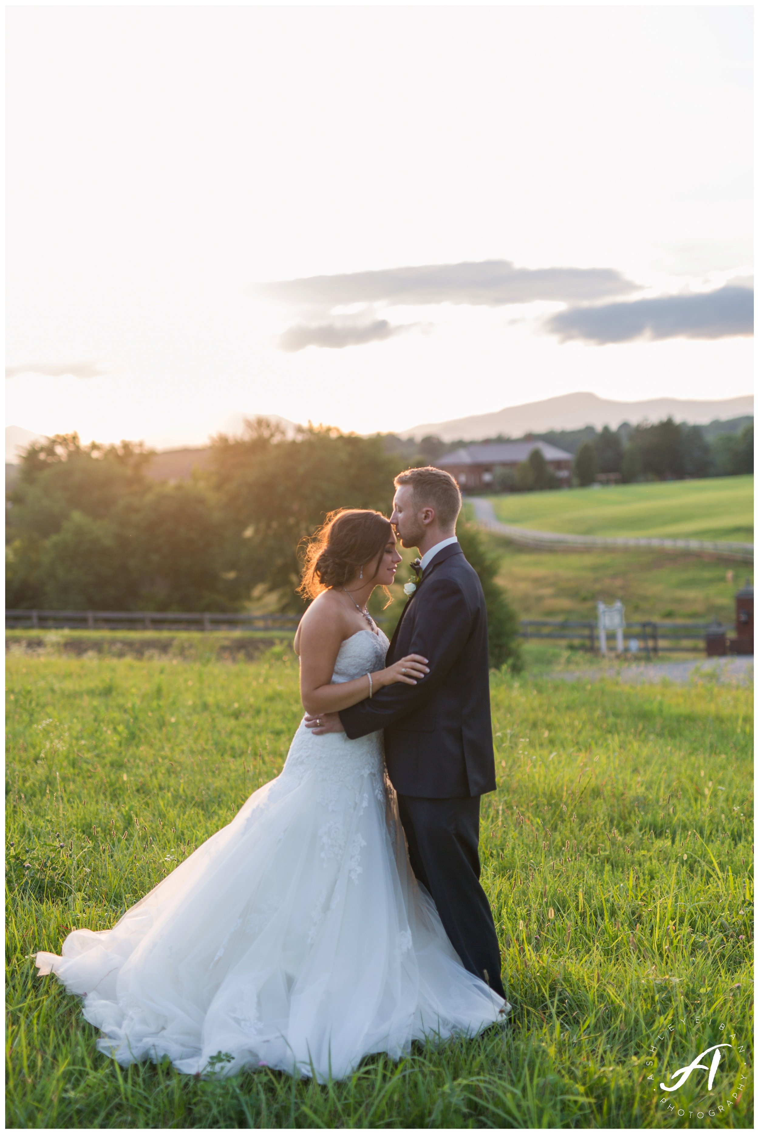 Charlottesville and Lynchburg Wedding Photography at The Trivium Estate || www.ashleyeiban.com