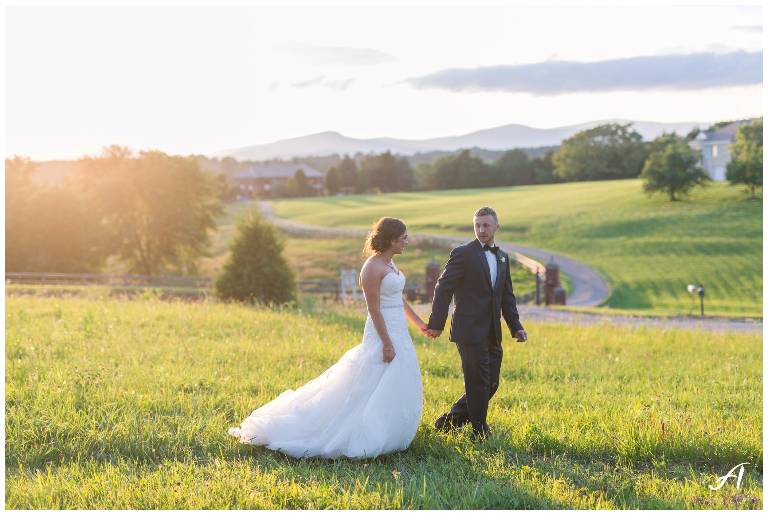 Charlottesville and Lynchburg Wedding Photography at The Trivium Estate || www.ashleyeiban.com