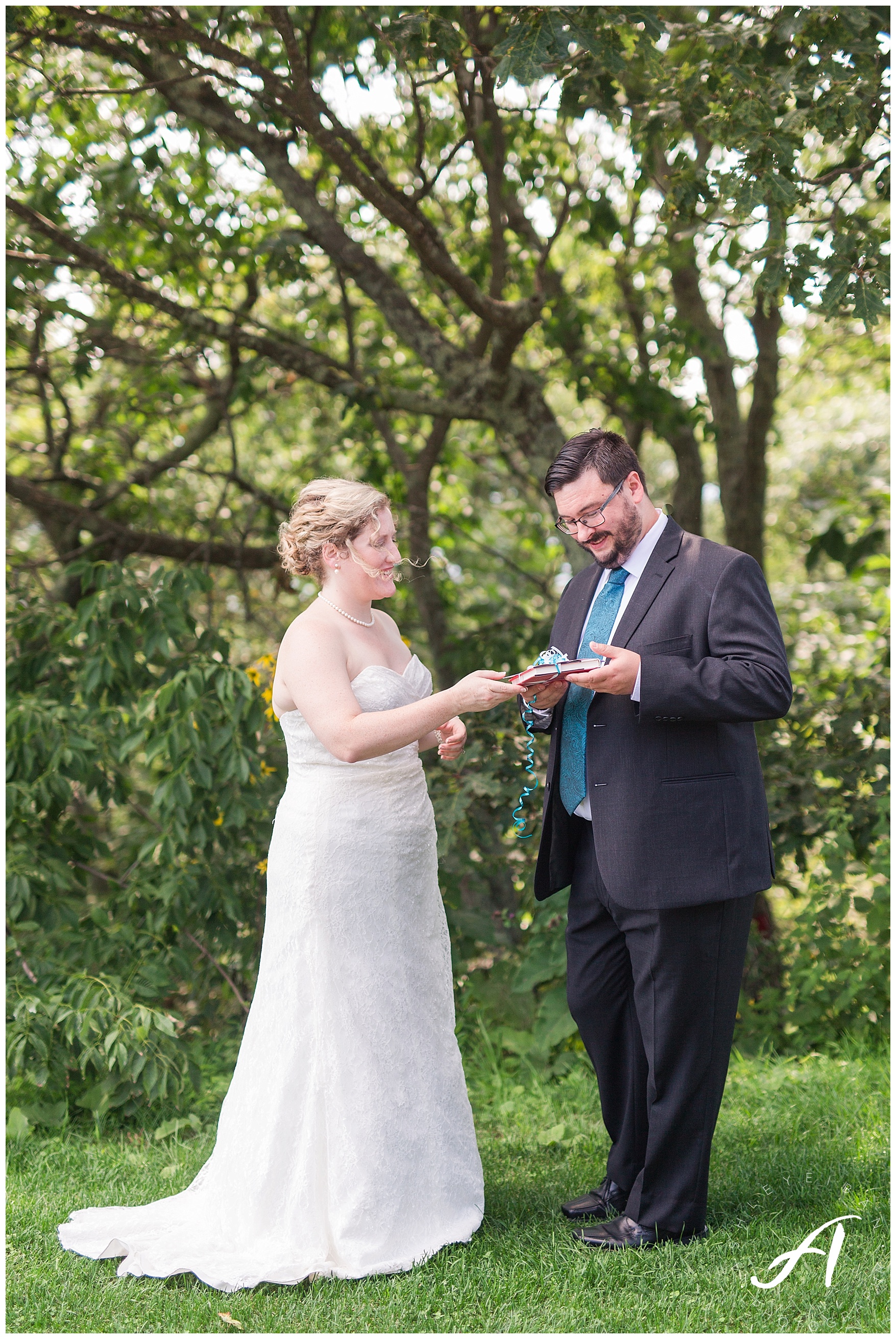 Mountain View Wedding || Central Virginia, Wintergreen Resort Wedding || Ashley Eiban Photography || www.ashleyeiban.com