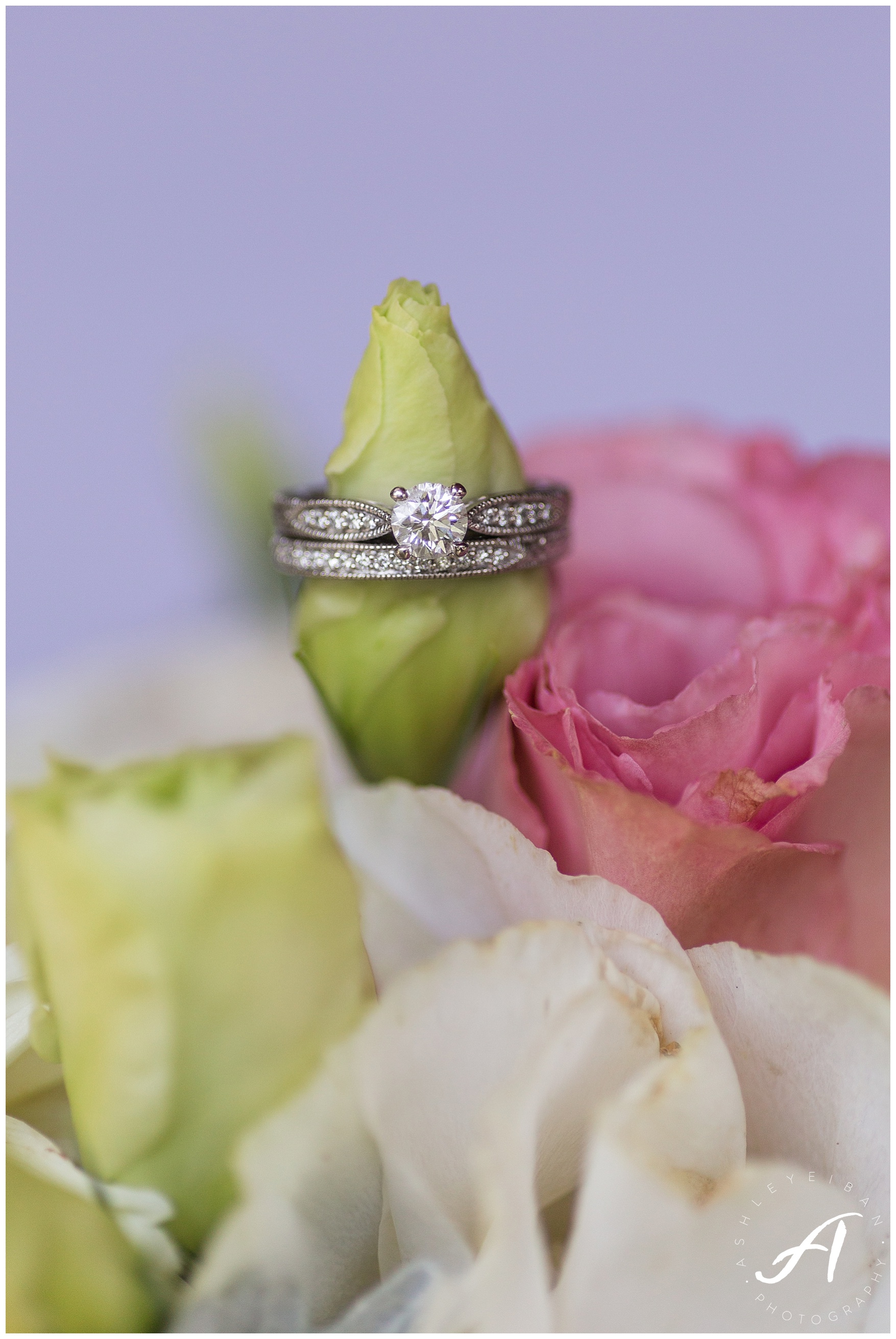 Mountain View Wedding || Central Virginia, Wintergreen Resort Wedding || Ashley Eiban Photography || www.ashleyeiban.com