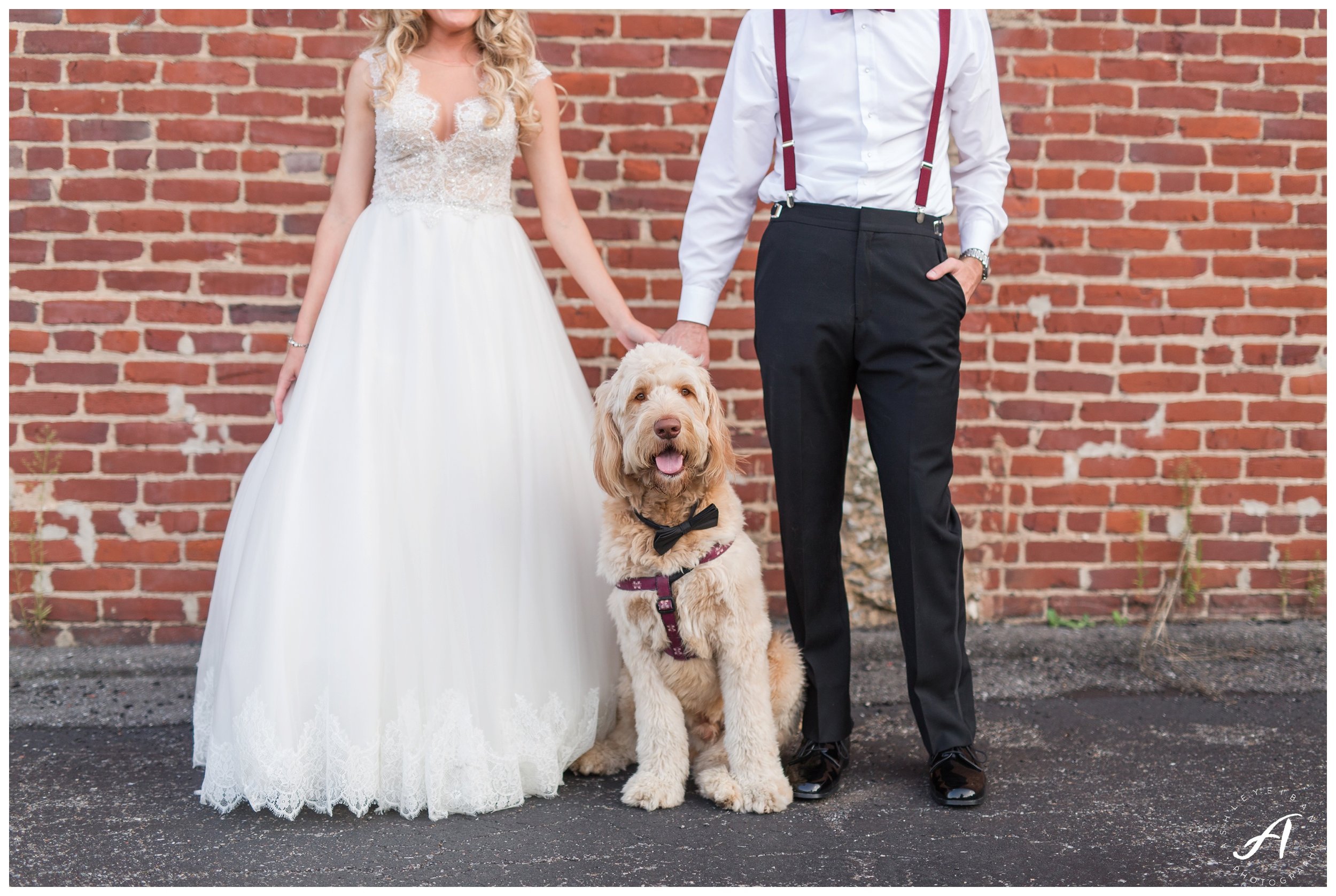 Downtown Lynchburg wedding at Tresca on 8th || Ashley Eiban Photography || www.ashleyeiban.com