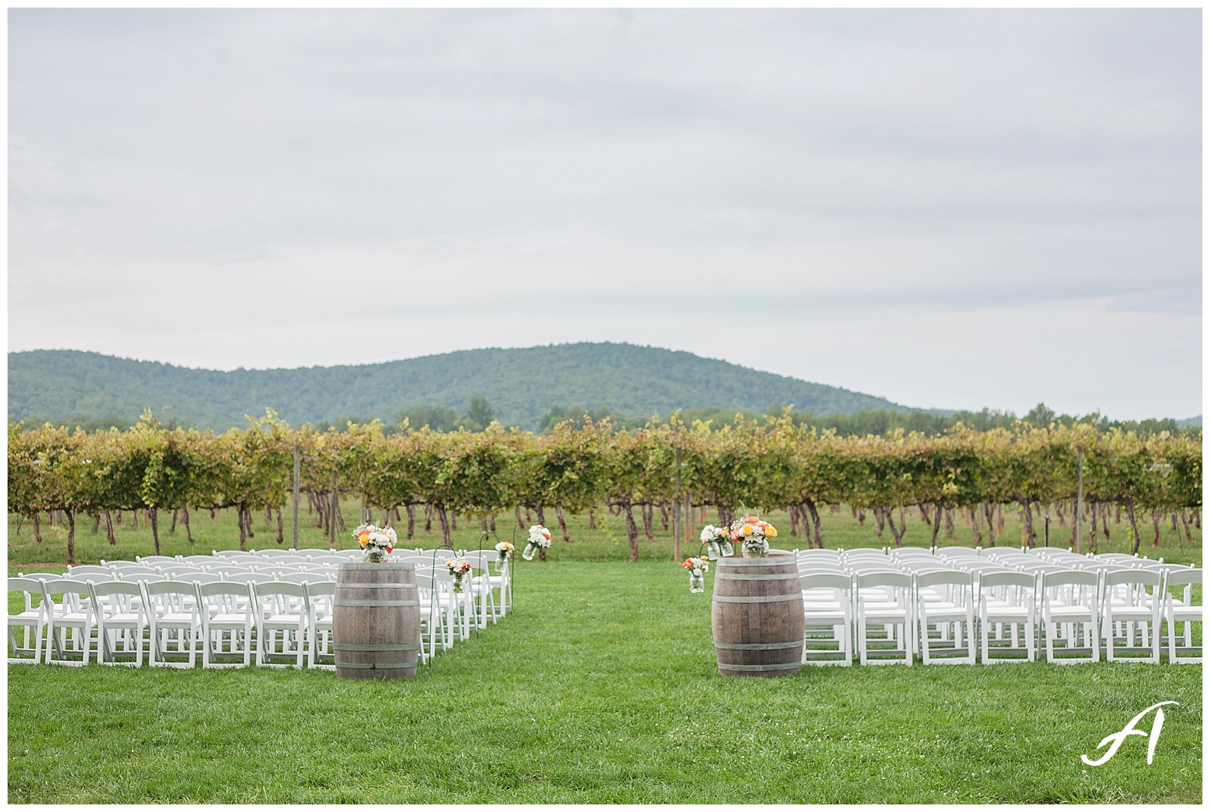 Keswick Vineyard Wedding Photographer || Charlottesville Winery Wedding Photographer || Central Virginia Fall Wedding || www.ashleyeiban.com