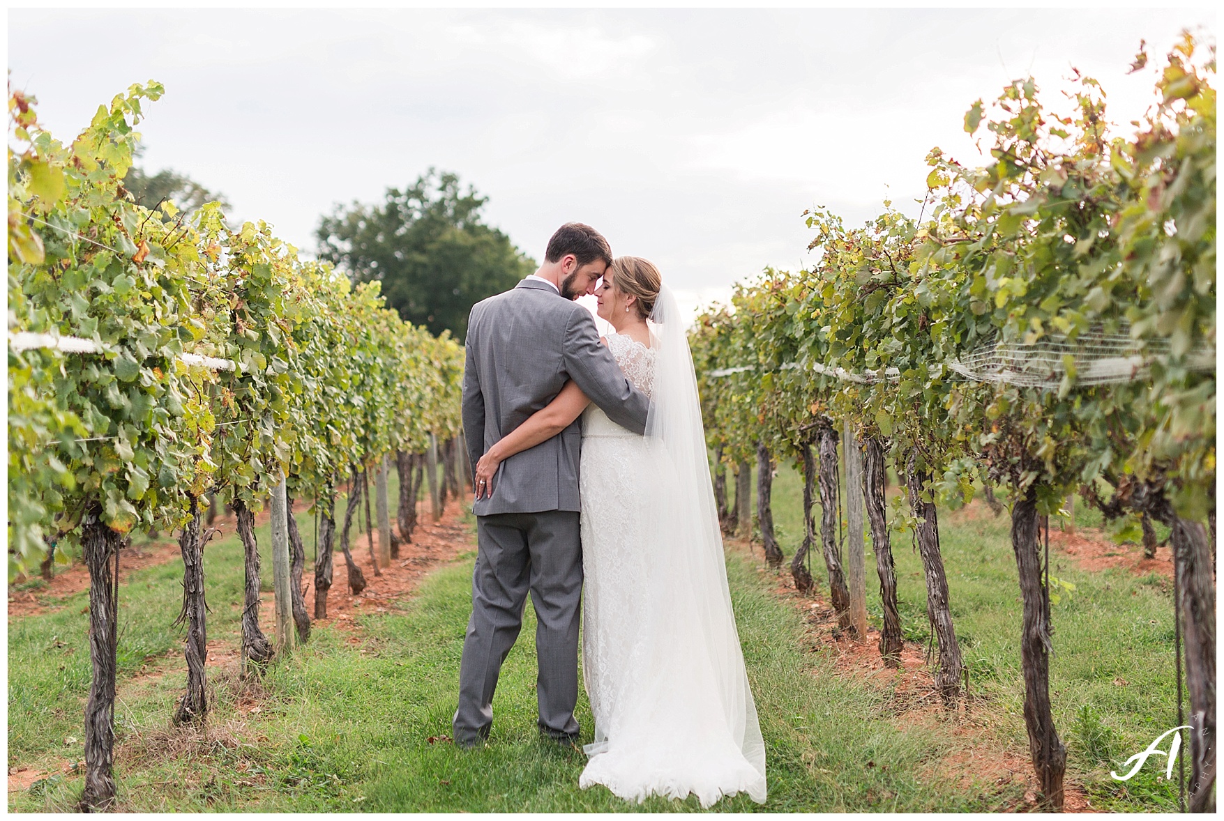 Keswick Vineyard Wedding Photographer || Charlottesville Winery Wedding Photographer || Central Virginia Fall Wedding || www.ashleyeiban.com