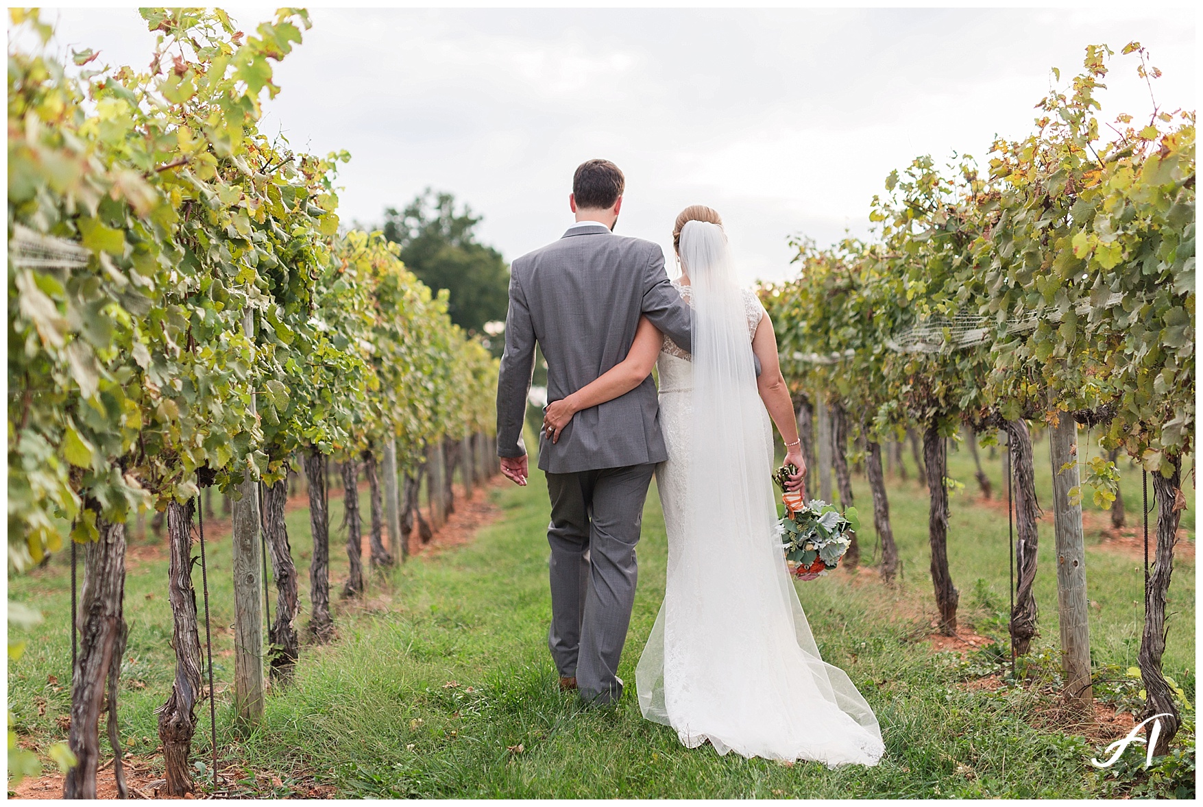 Keswick Vineyard Wedding Photographer || Charlottesville Winery Wedding Photographer || Central Virginia Fall Wedding || www.ashleyeiban.com