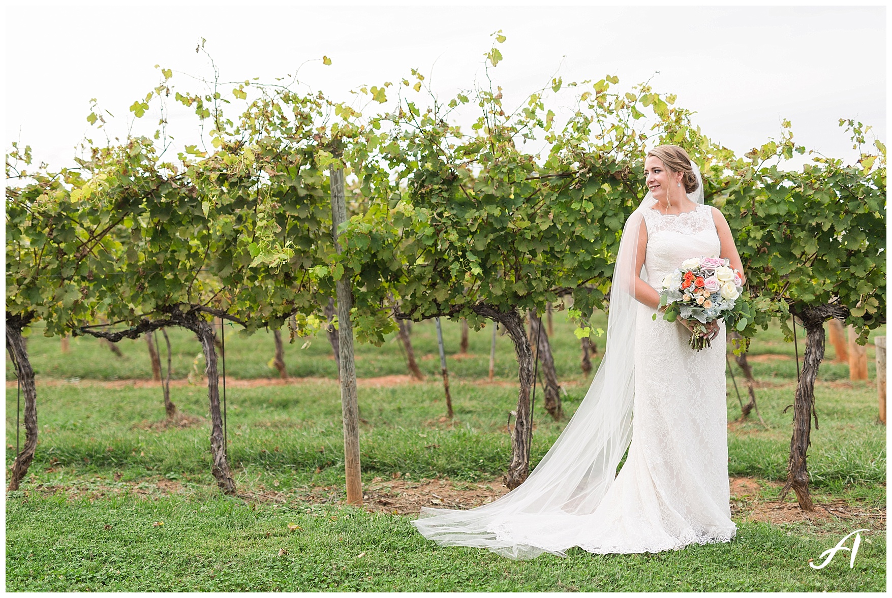 Keswick Vineyard Wedding Photographer || Charlottesville Winery Wedding Photographer || Central Virginia Fall Wedding || www.ashleyeiban.com