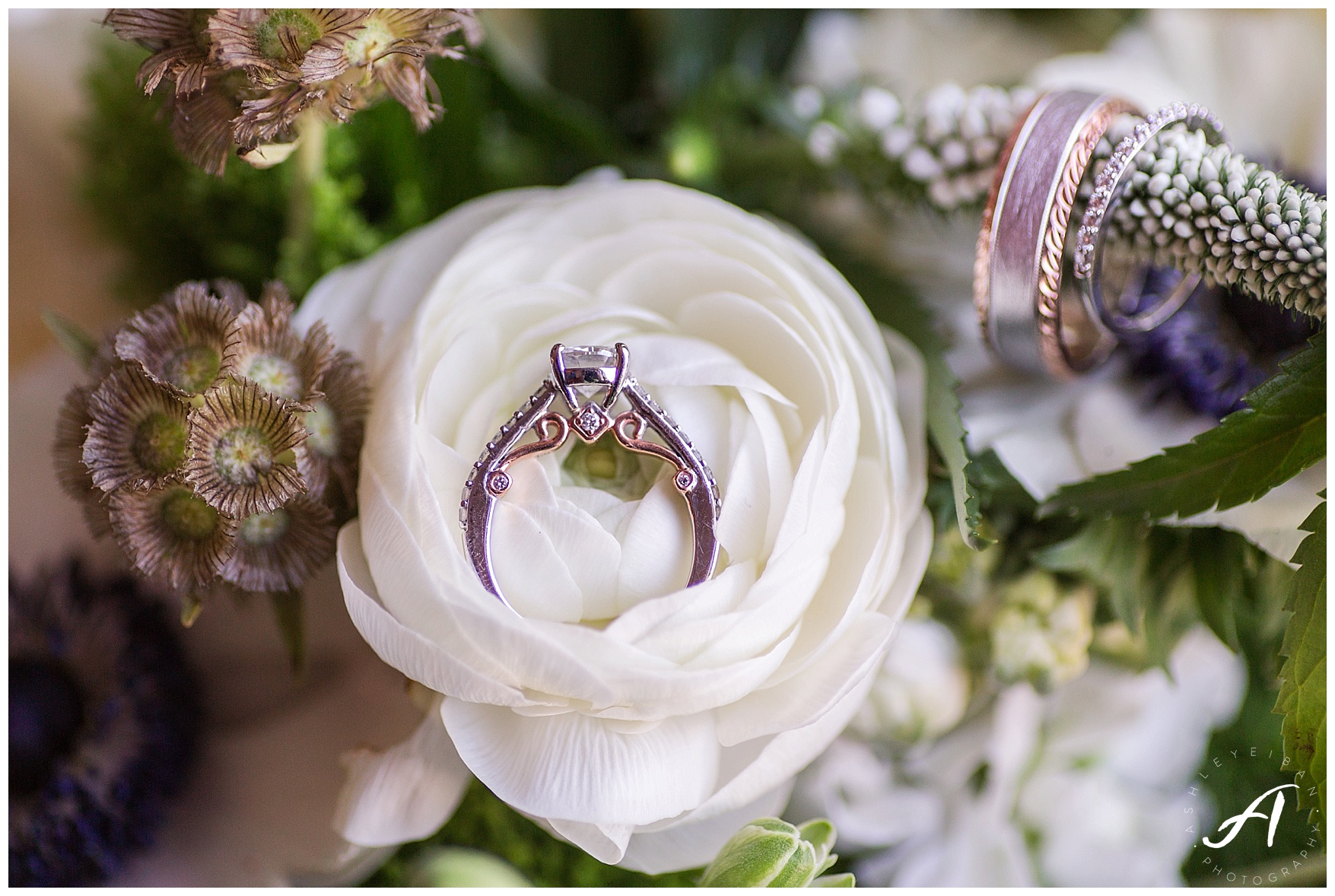 Trivium Estate Wedding || Charlottesville and Lynchburg Wedding Photographer || www.ashleyeiban.com
