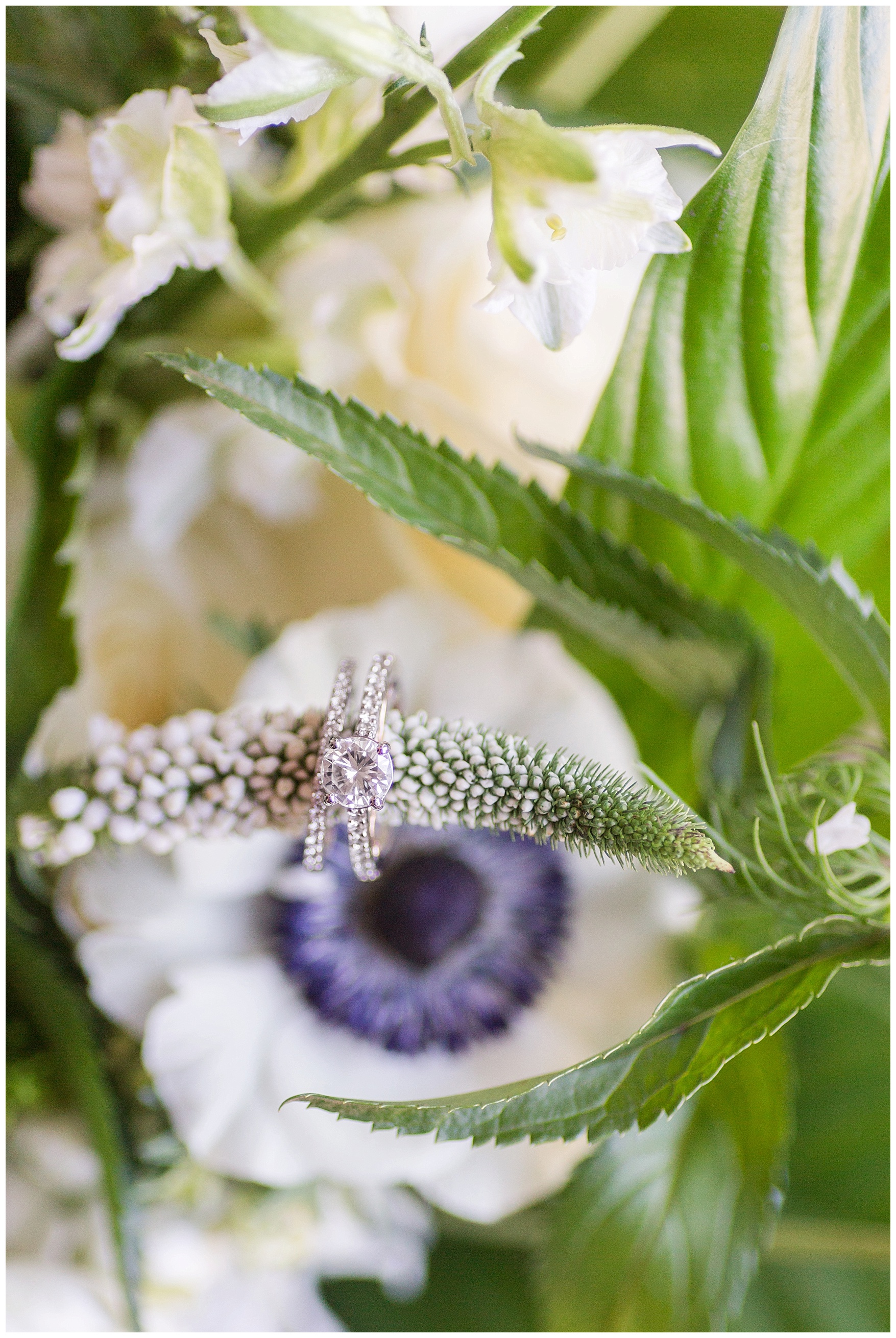 Trivium Estate Wedding || Charlottesville and Lynchburg Wedding Photographer || www.ashleyeiban.com