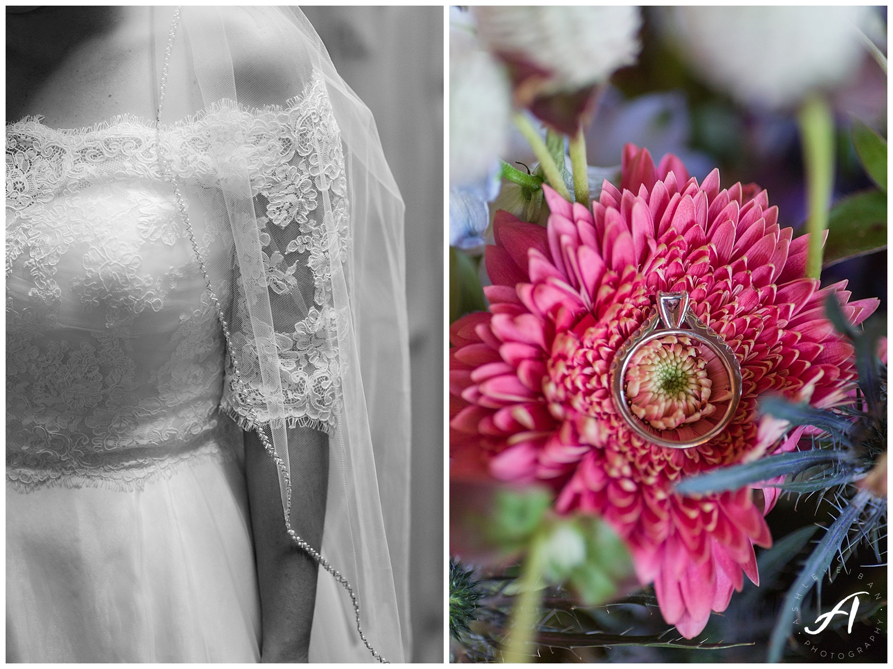 Outdoor Mountain View Wedding || On the Glen at Glenburn Farms Wedding || www.ashleyeiban.com