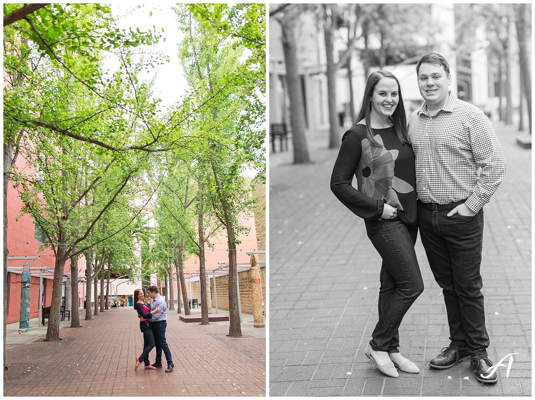 Roanoke and Charlottesville Wedding Photographer || Roanoke Engagement Session || www.ashleyeiban.com