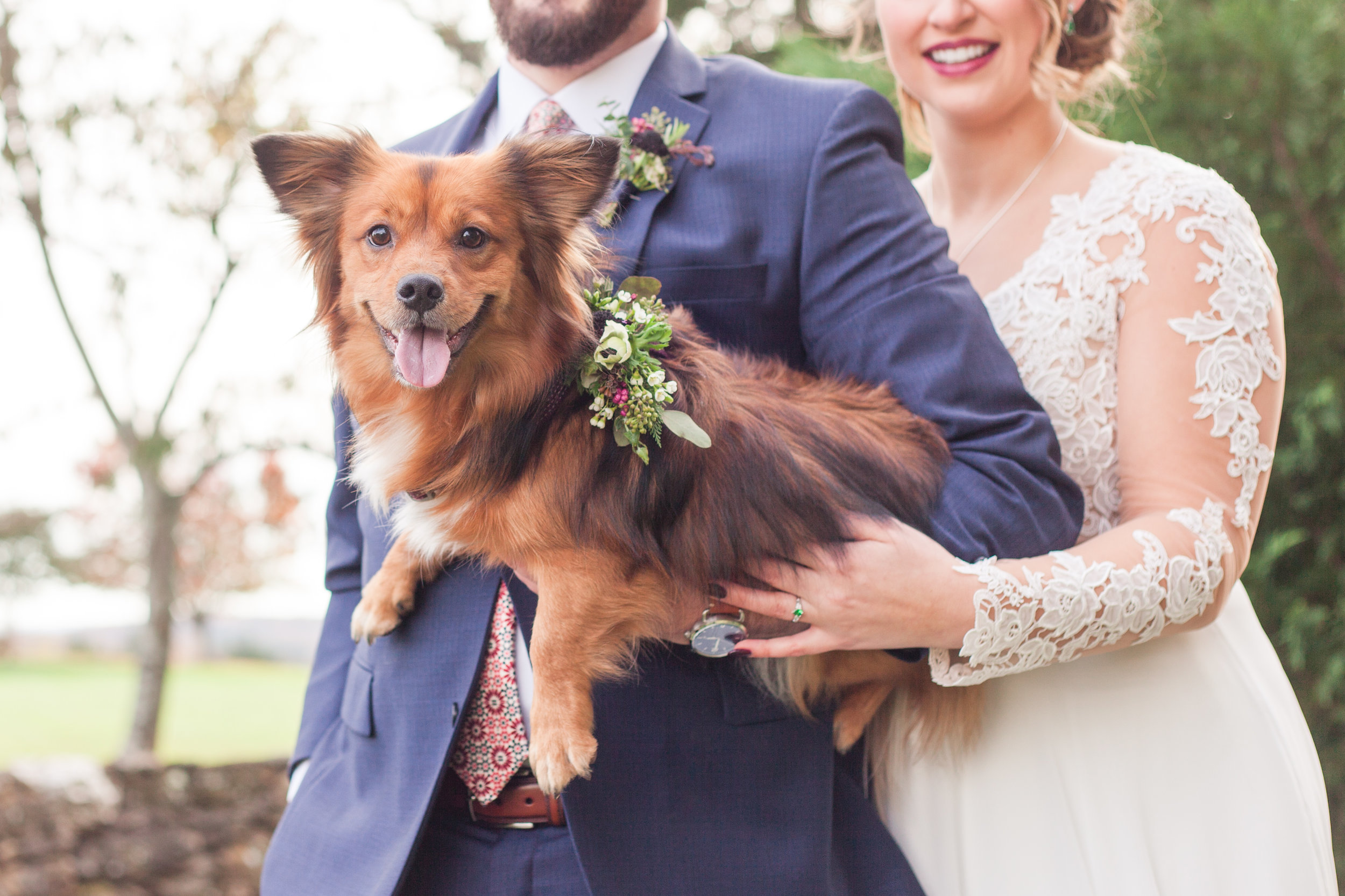 Lynchburg and Charlottesville Wedding Photographer || Fall Wedding at The Trivium Estate in Forest, Virginia || www.ashleyeiban.com