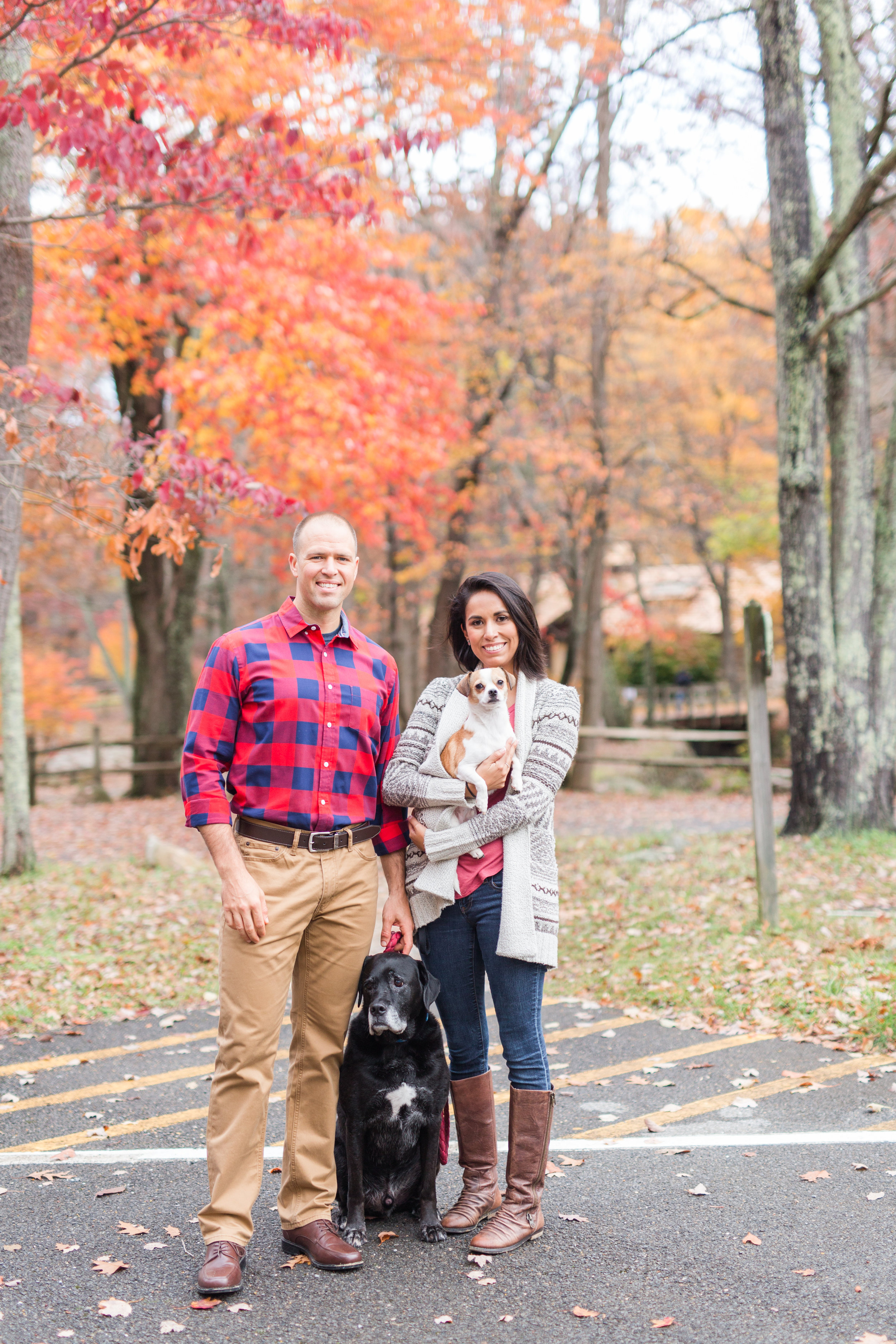 Fall engagement session at lake sherando in central virginia || Lynchburg Wedding and Engagement Photographer || www.ashleyeiban.com