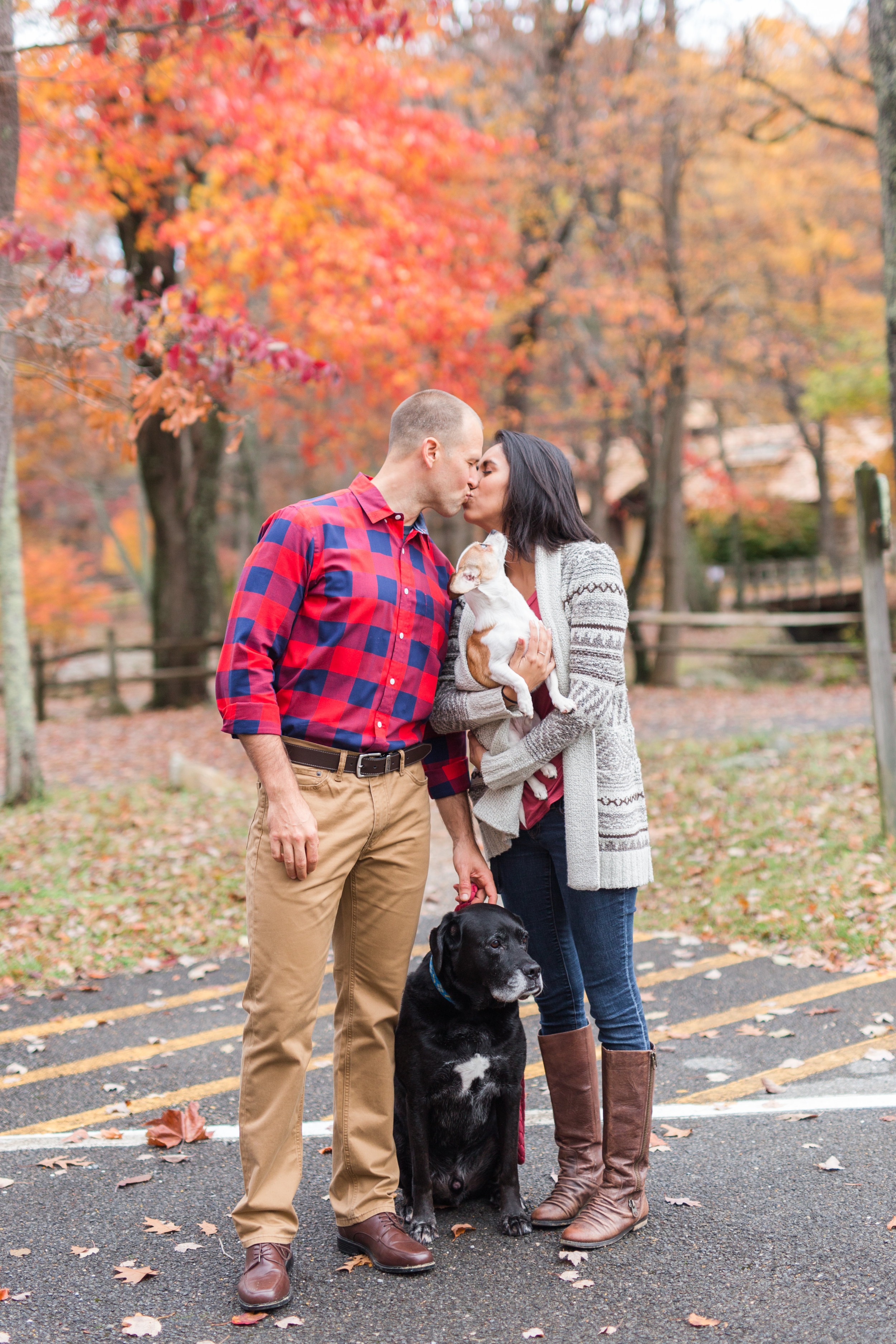 Fall engagement session at lake sherando in central virginia || Lynchburg Wedding and Engagement Photographer || www.ashleyeiban.com