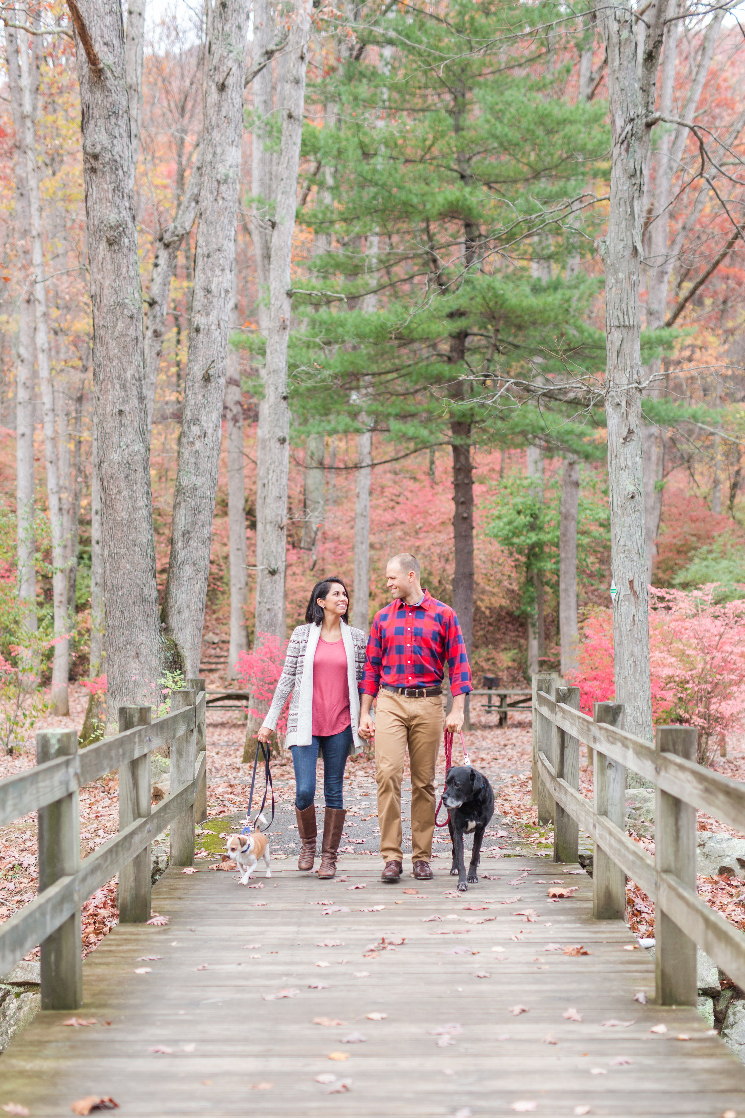 Fall engagement session at lake sherando in central virginia || Lynchburg Wedding and Engagement Photographer || www.ashleyeiban.com