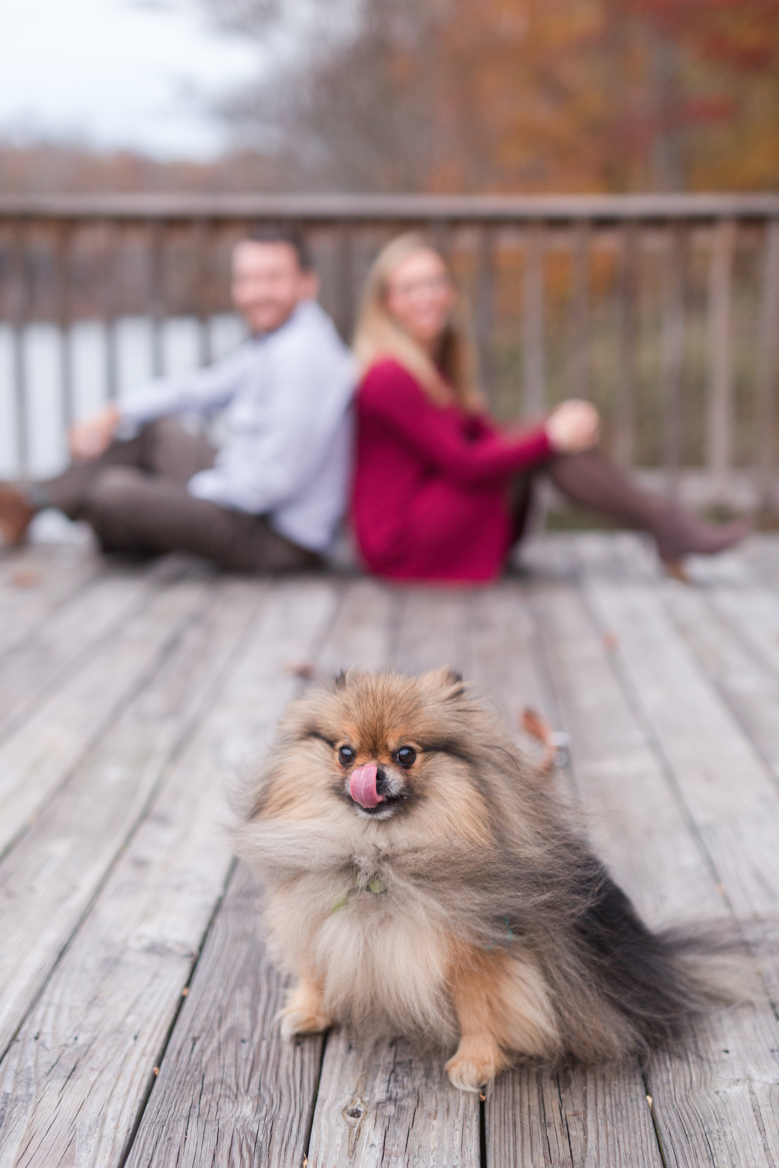 Lynchburg Virginia Engagement Session || Fall Engagement Photos in Virginia || Lynchburg Wedding and Portrait Photographer || www.ashleyeiban.com